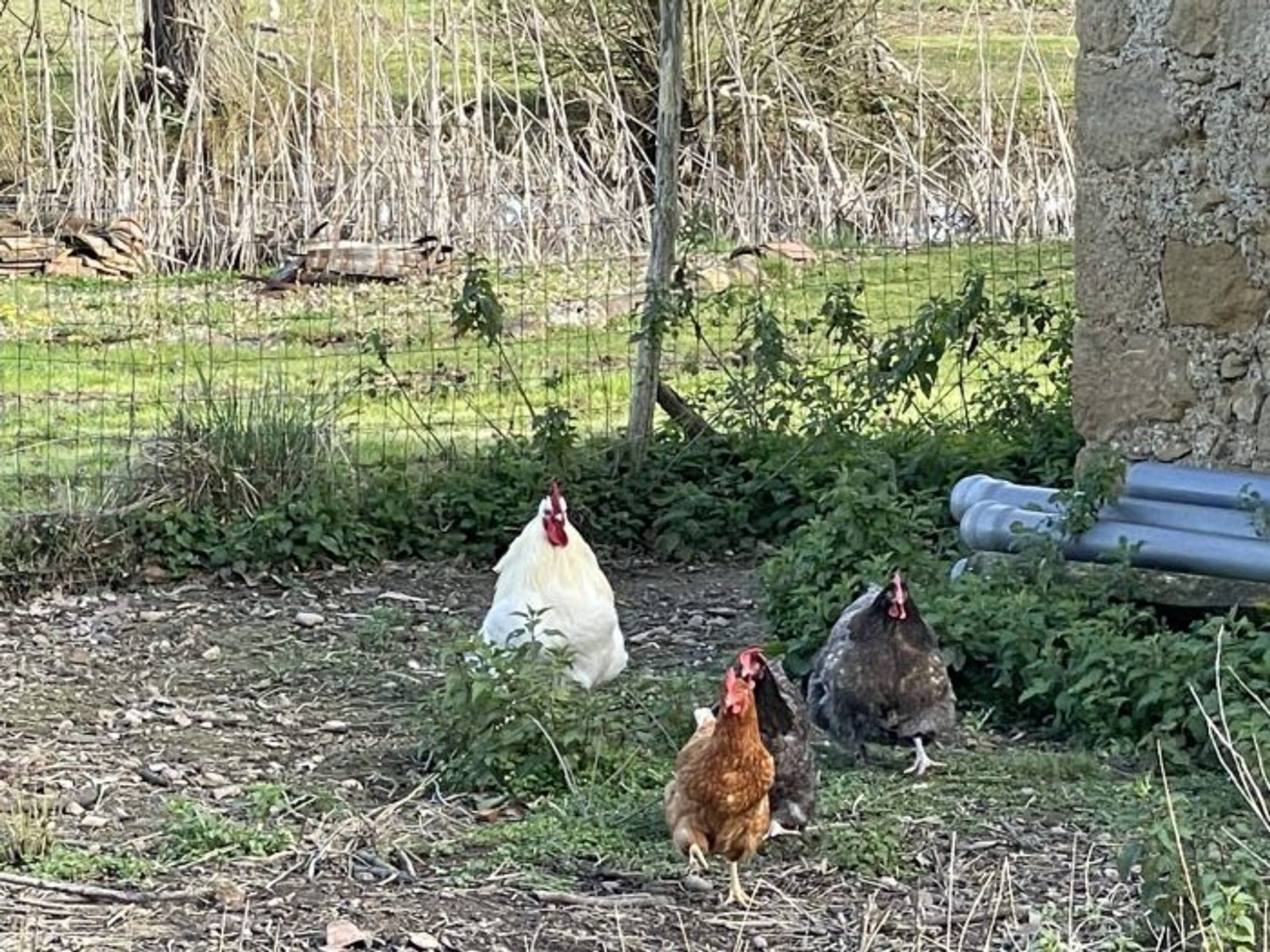 σπίτι σε La Celle-sous-Gouzon, Nouvelle-Aquitaine 10730296