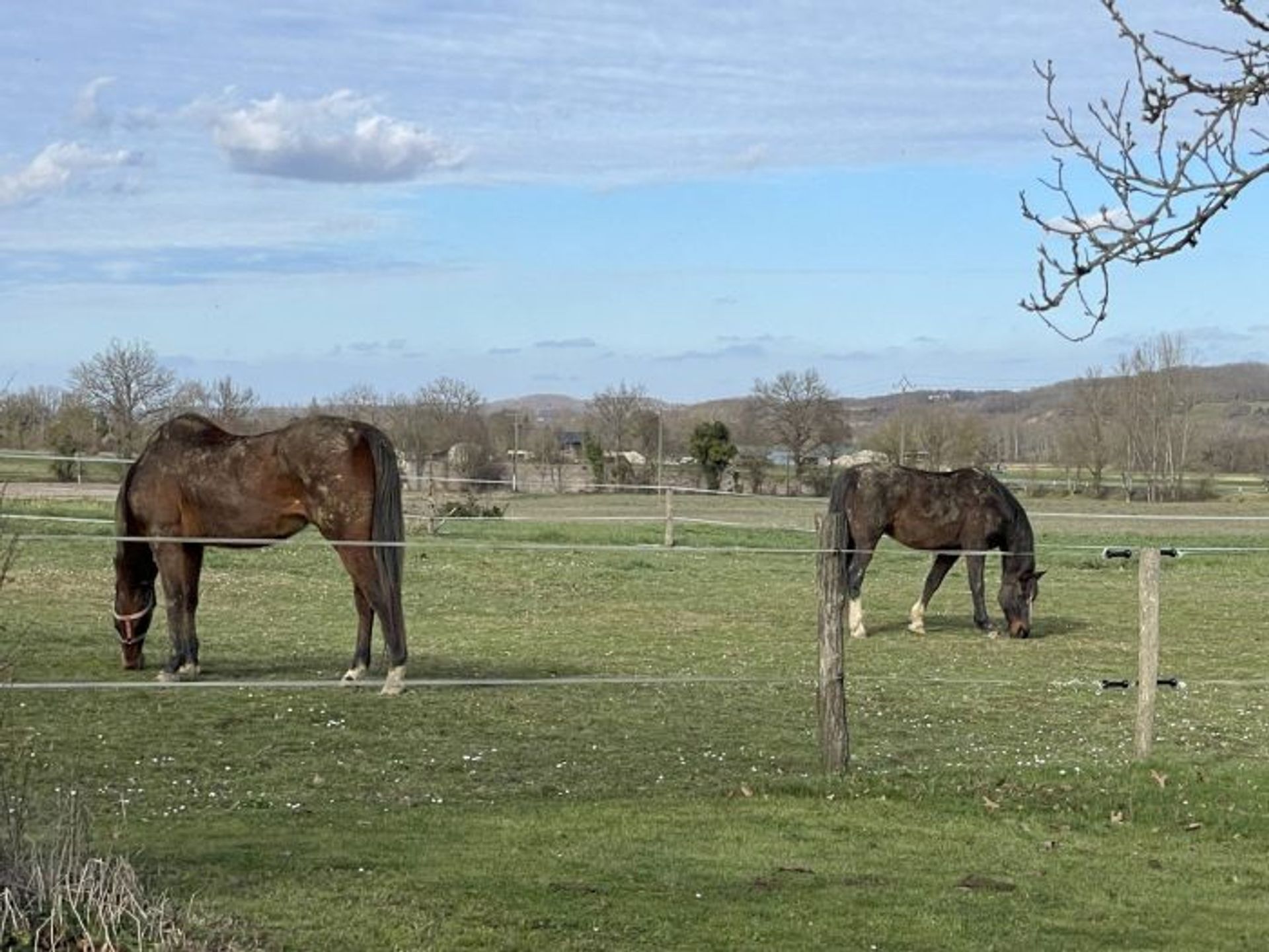 Casa nel La Celle-sous-Gouzon, Nuova Aquitania 10730296