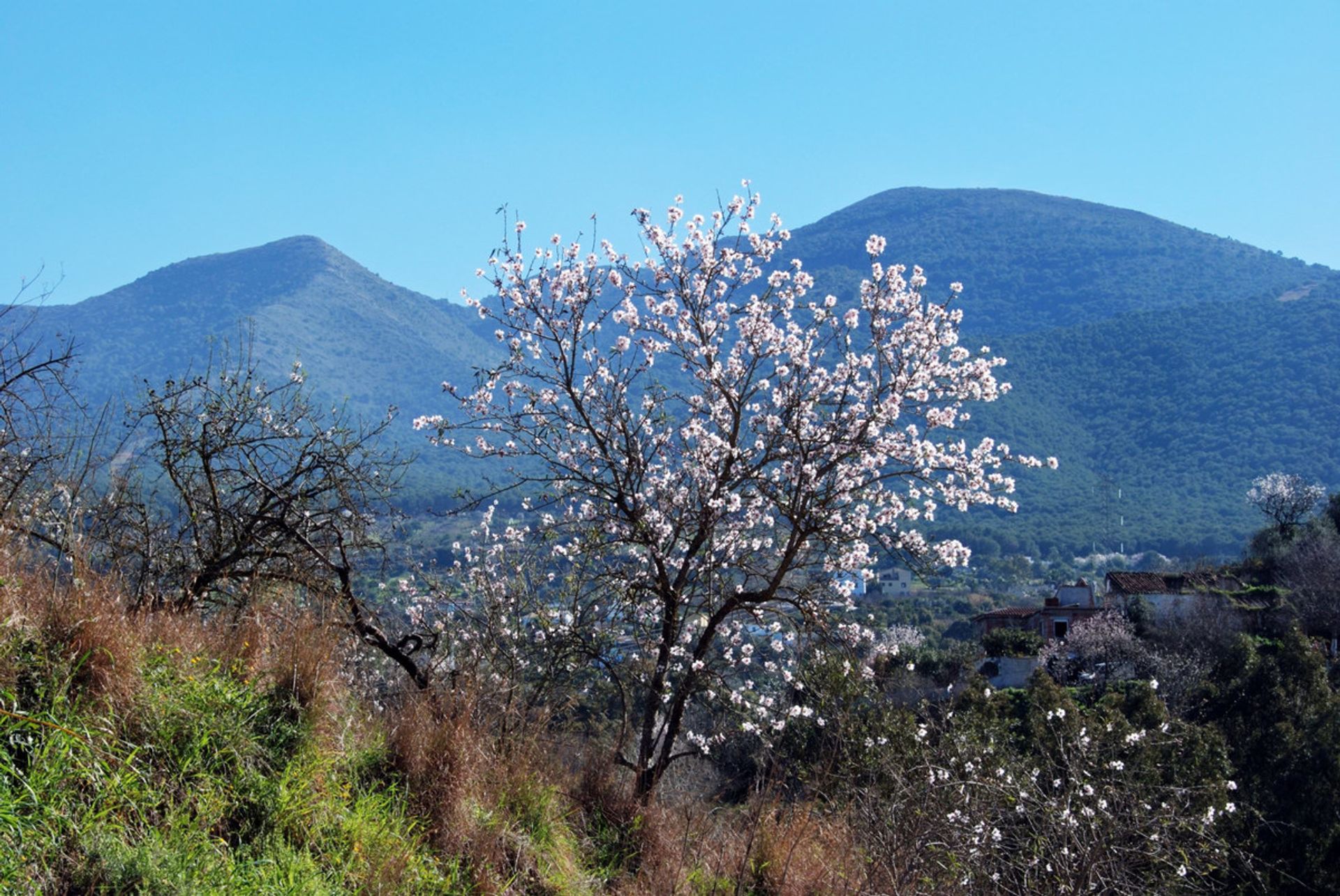 σπίτι σε Alhaurín el Grande, Andalucía 10730538