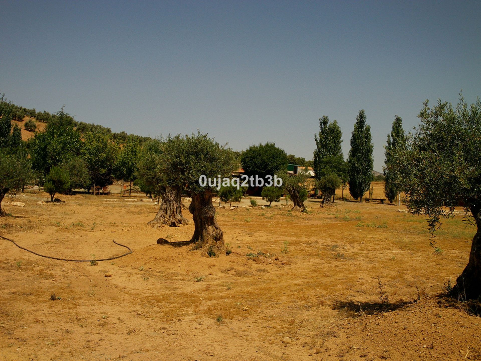 Tierra en Archidona, Andalucía 10730562