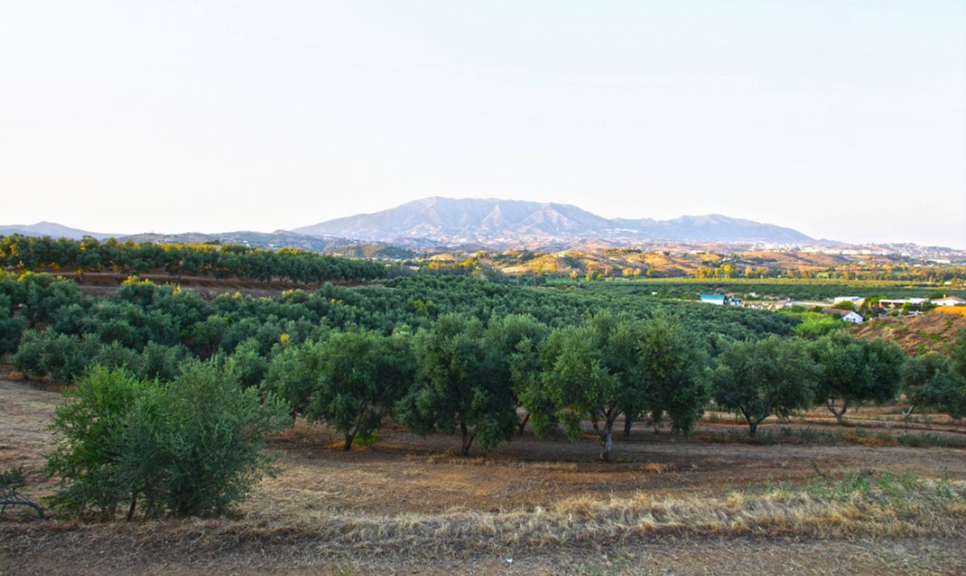 土地 在 Mijas, Andalucía 10730634