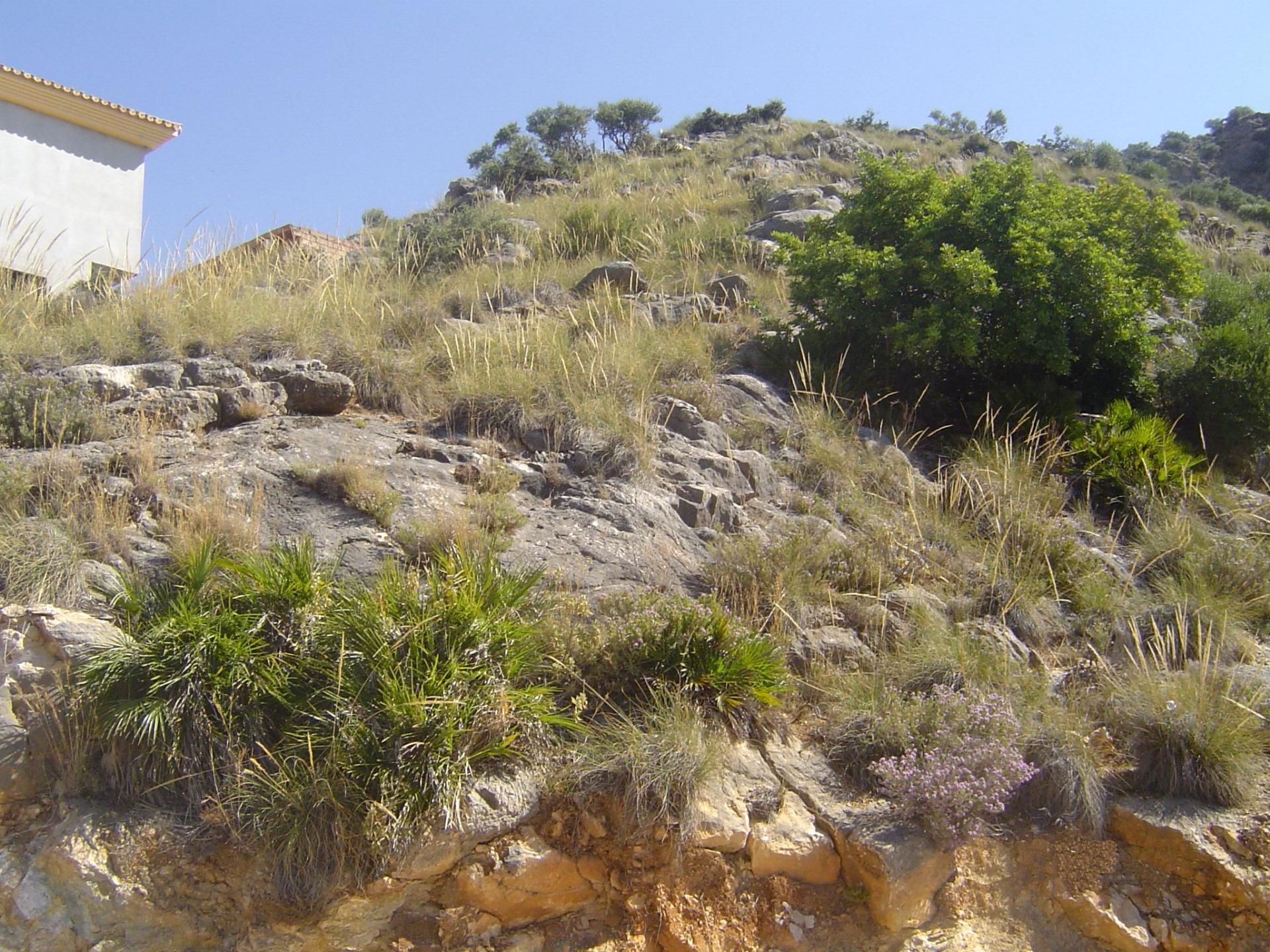 Land in Munt, Andalusië 10730638