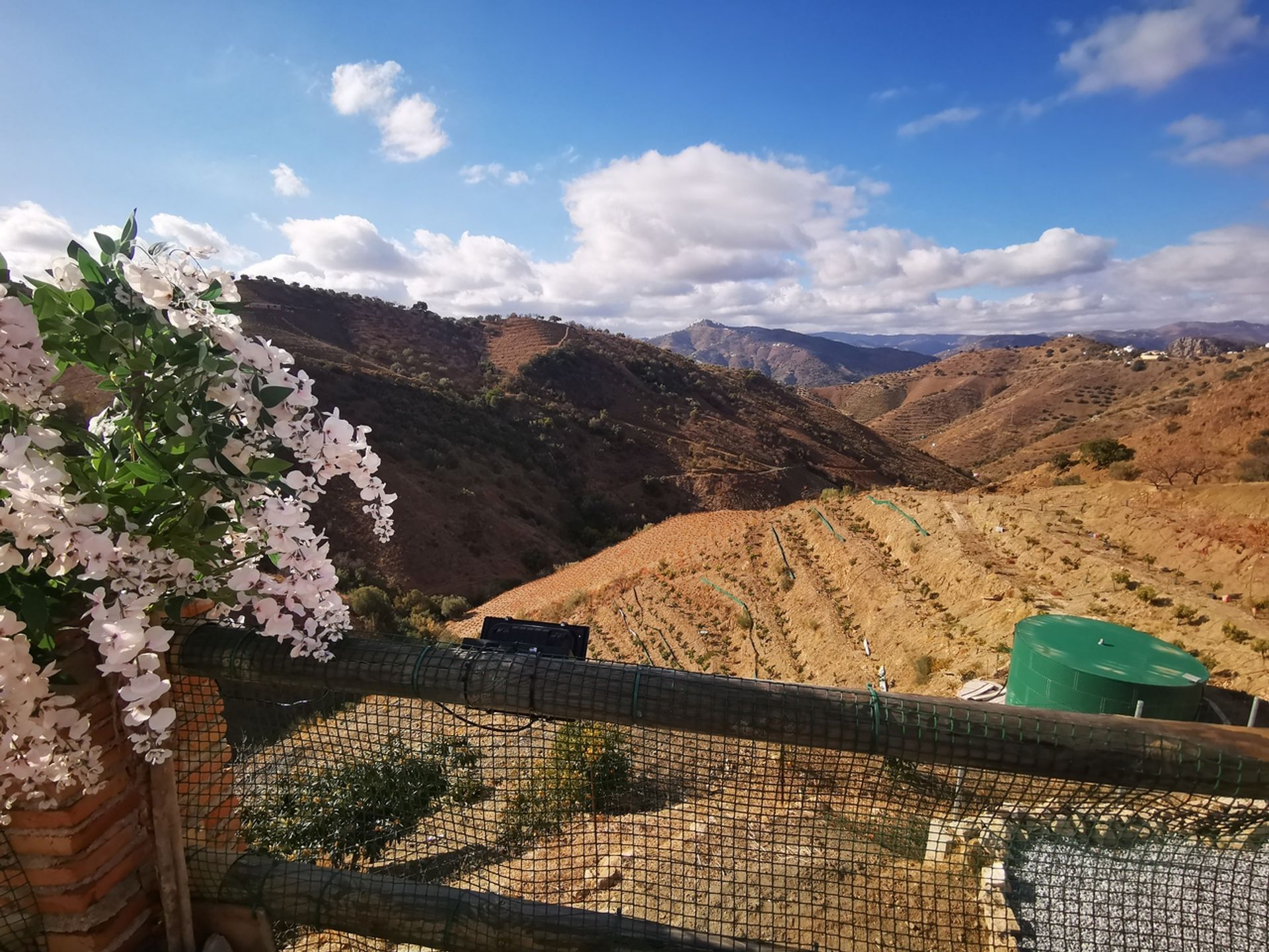 House in Los Romanes, Andalucía 10730641