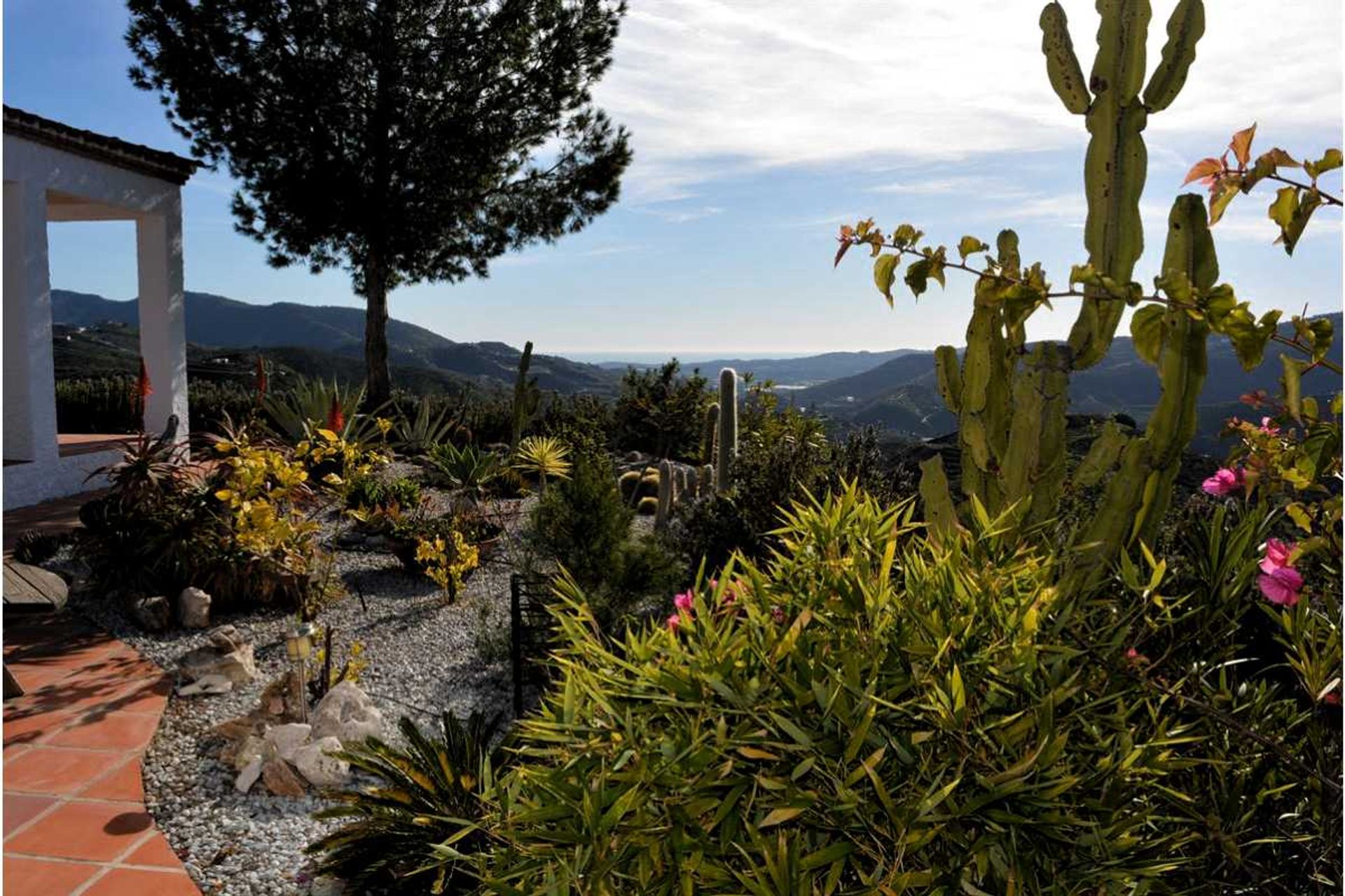 House in Canillas de Aceituno, Andalucía 10731127