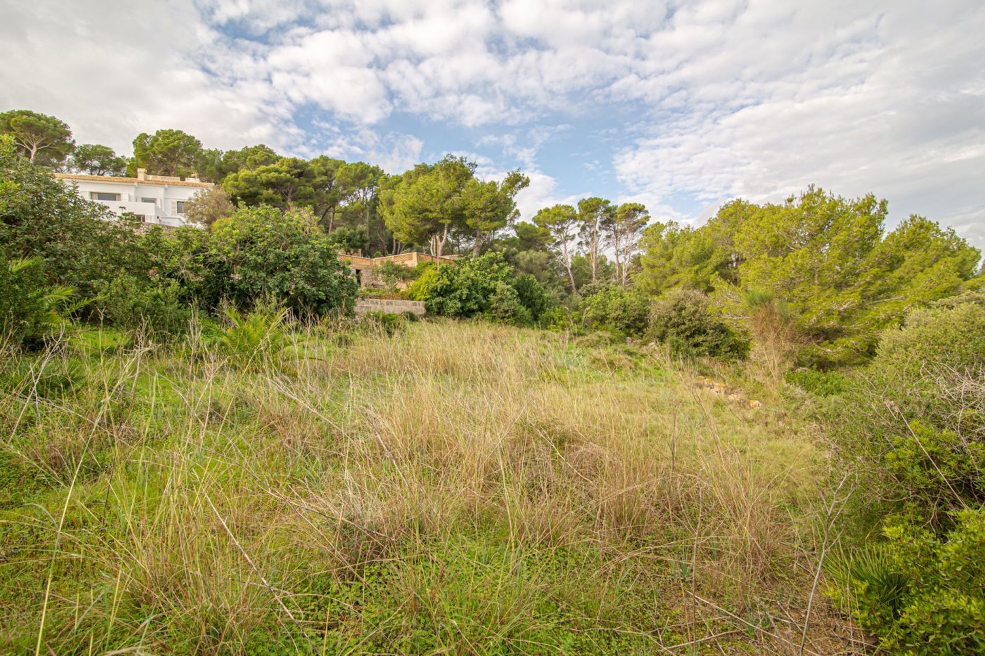 Land in Capdepera, Balearic Islands 10731138