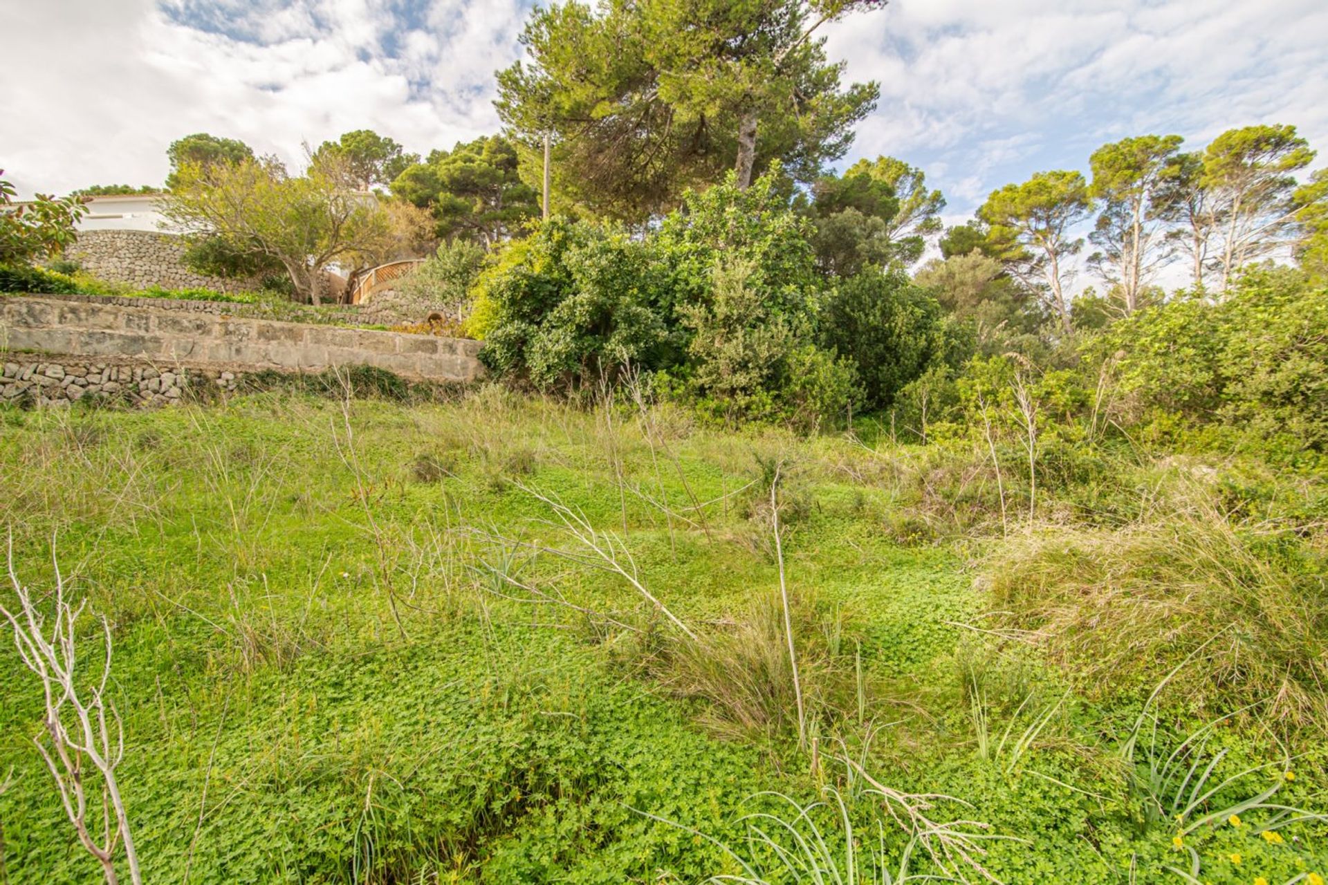 Land in Capdepera, Illes Balears 10731138