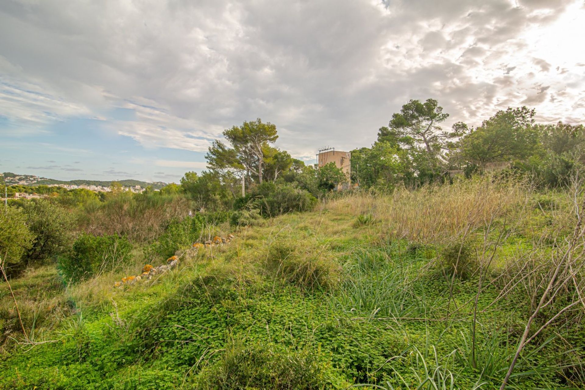 Land in Capdepera, Illes Balears 10731138