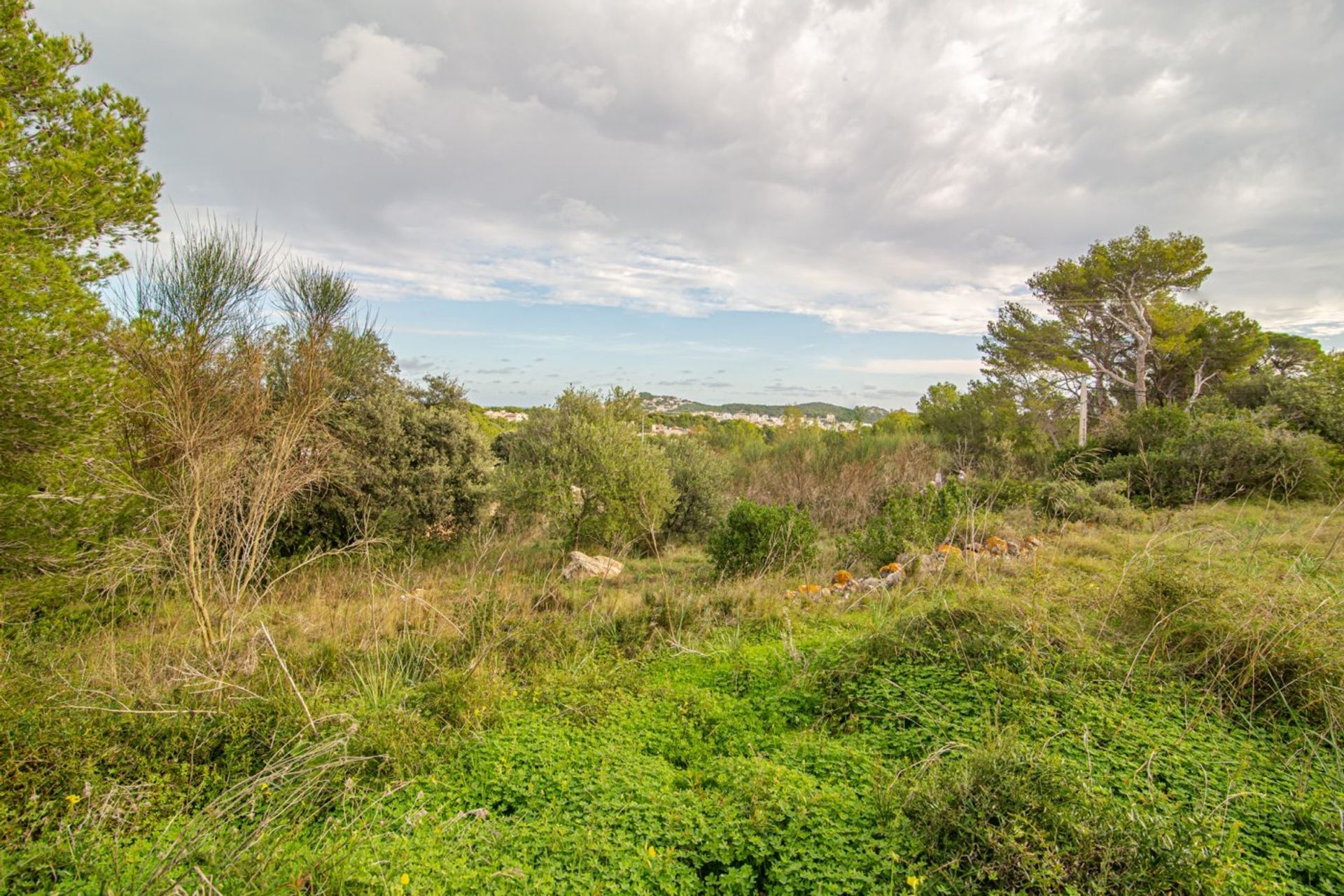 Land in Capdepera, Illes Balears 10731138