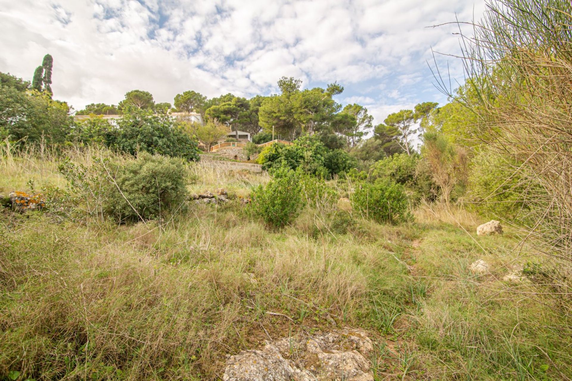 Land in Capdepera, Illes Balears 10731138