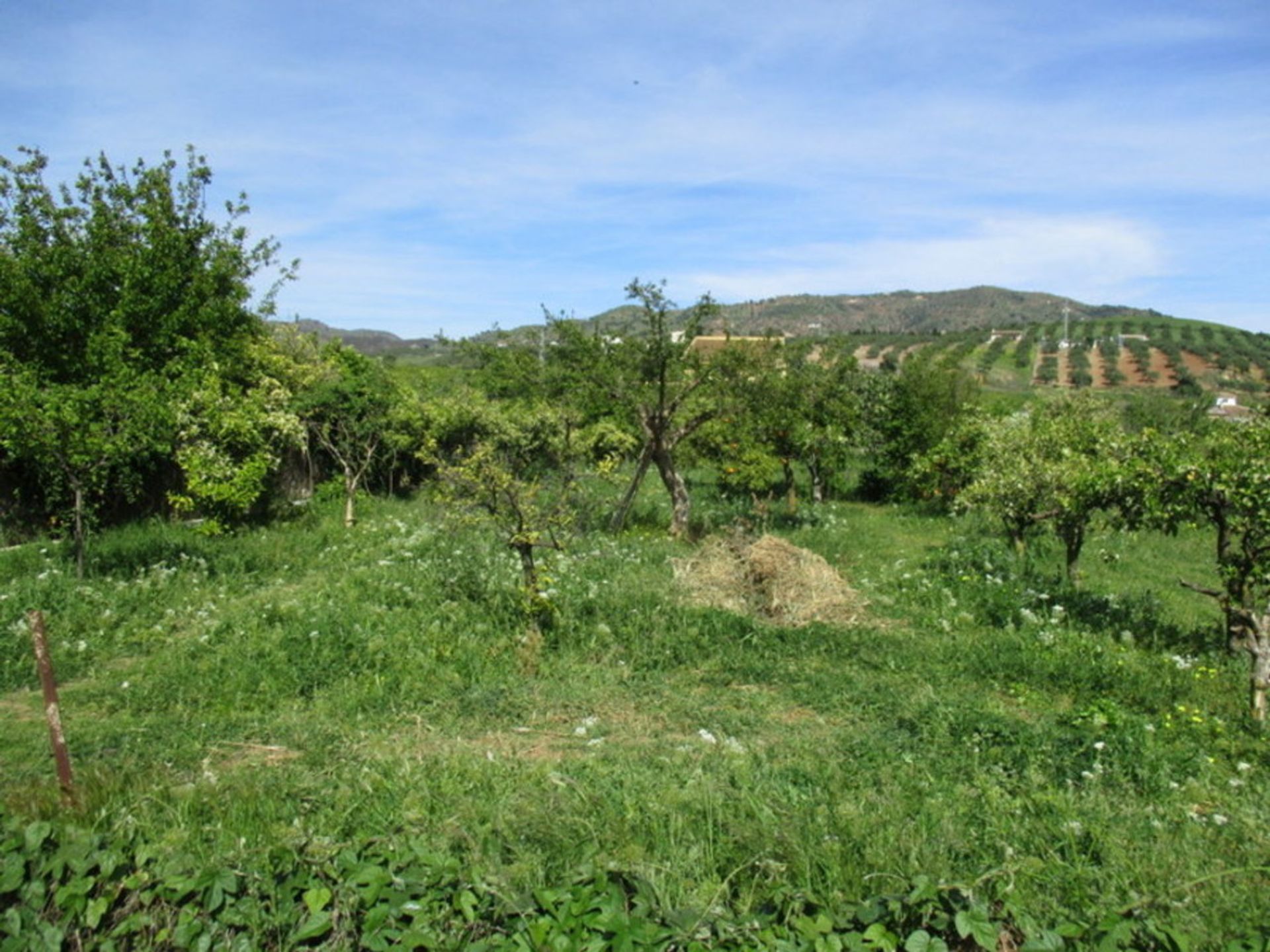 房子 在 Álora, Andalucía 10731152