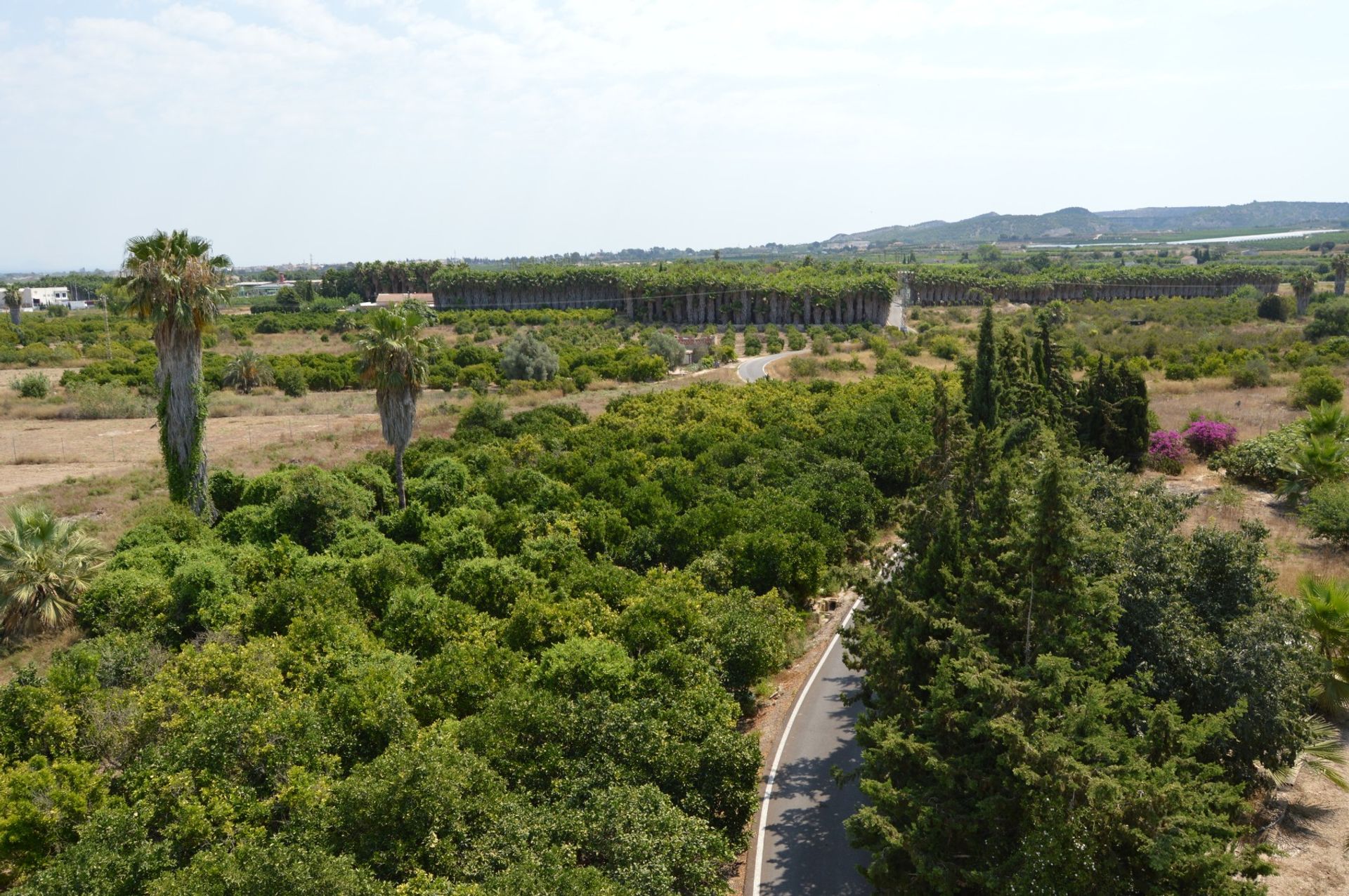 Eigentumswohnung im Jacarilla, Comunidad Valenciana 10731271