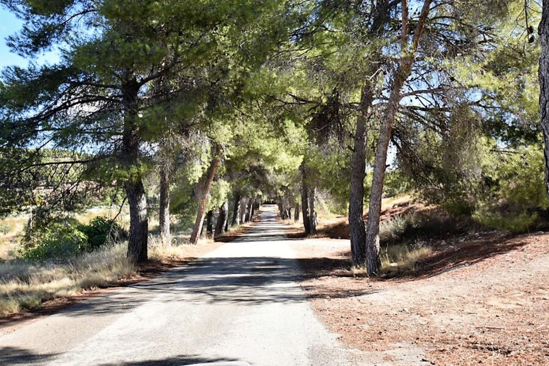 Casa nel Cehegín, Región de Murcia 10731274