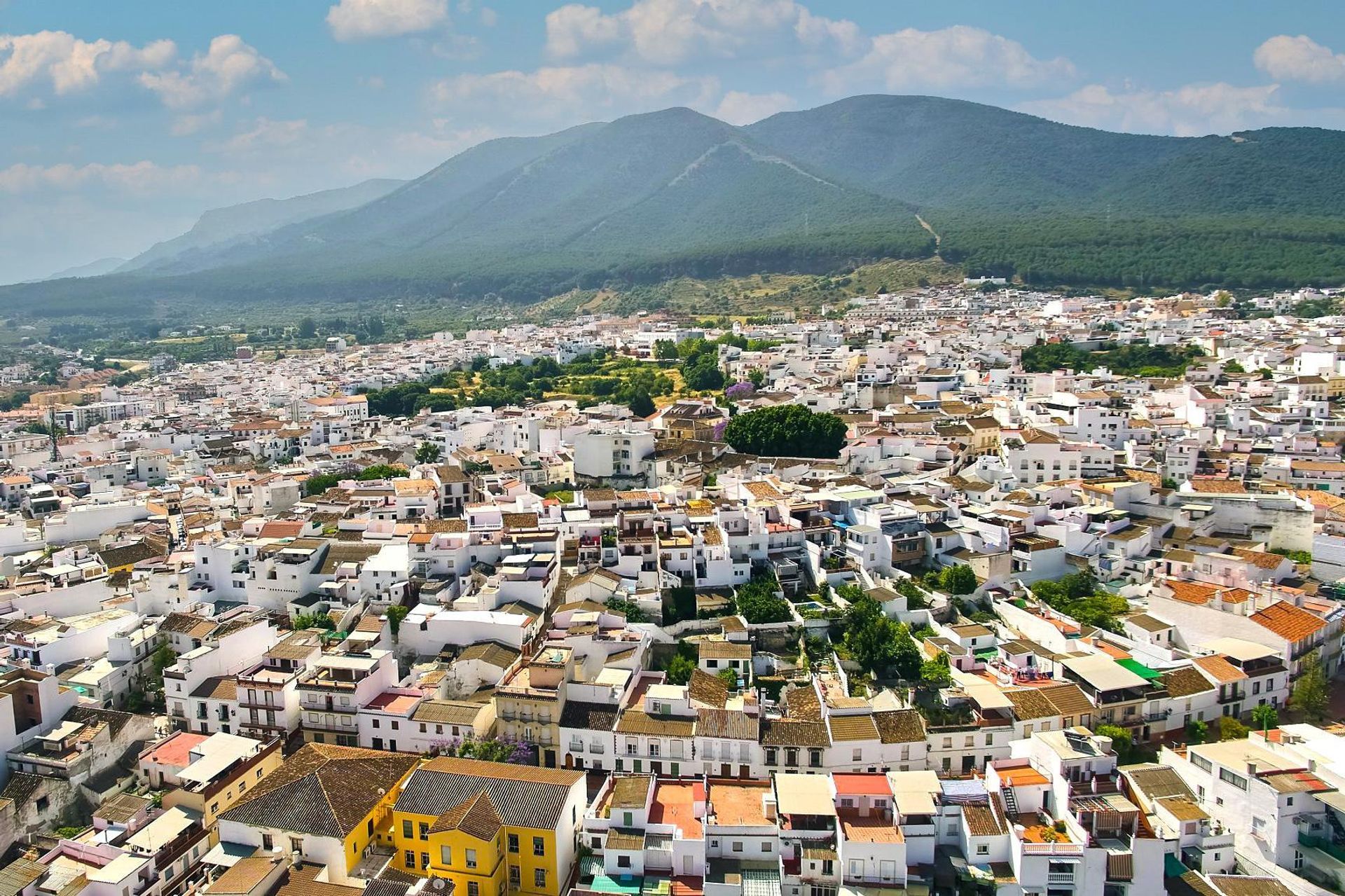 土地 在 Alhaurín el Grande, Andalucía 10731358