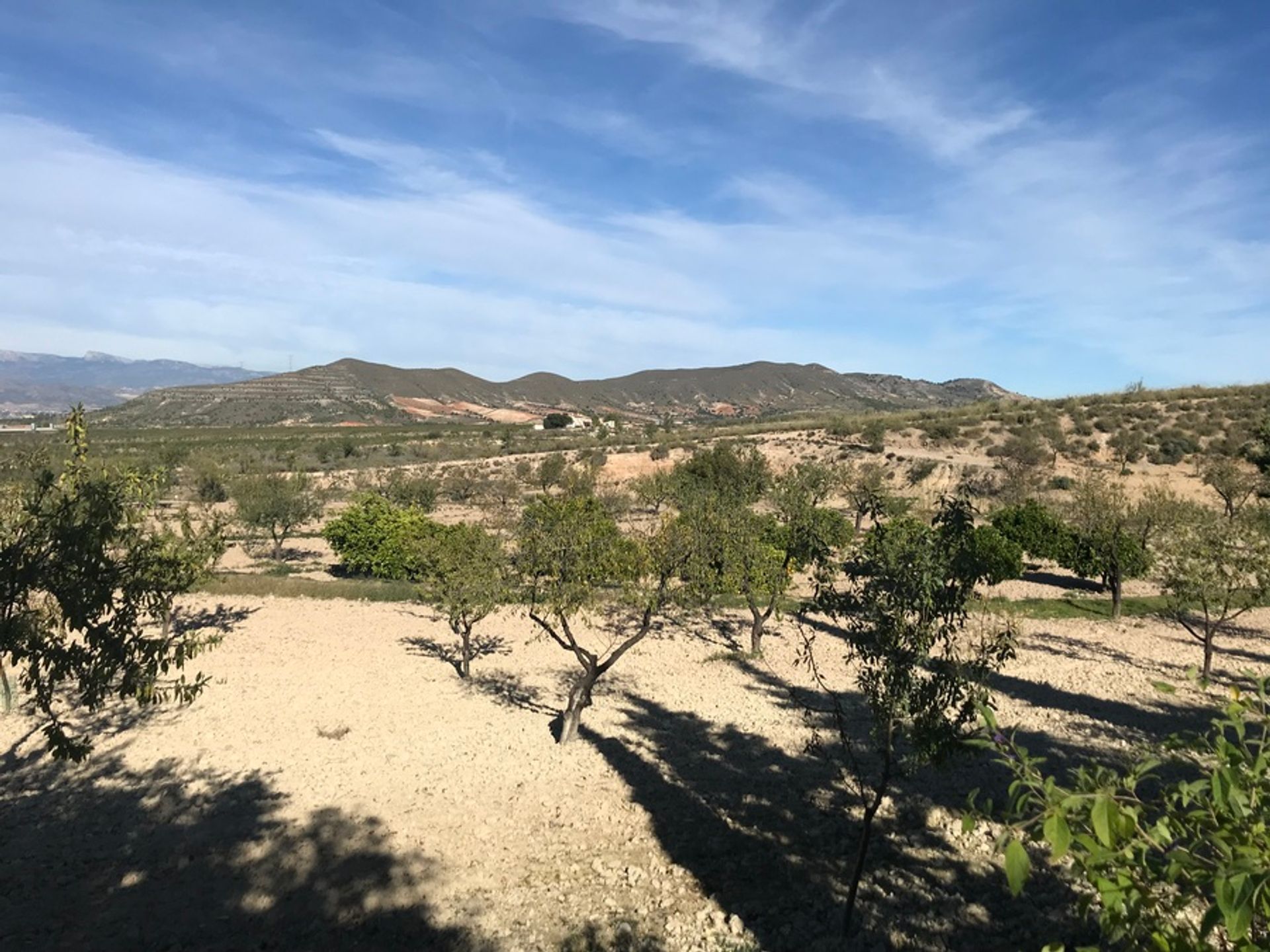 casa no Lorca, Región de Murcia 10731447