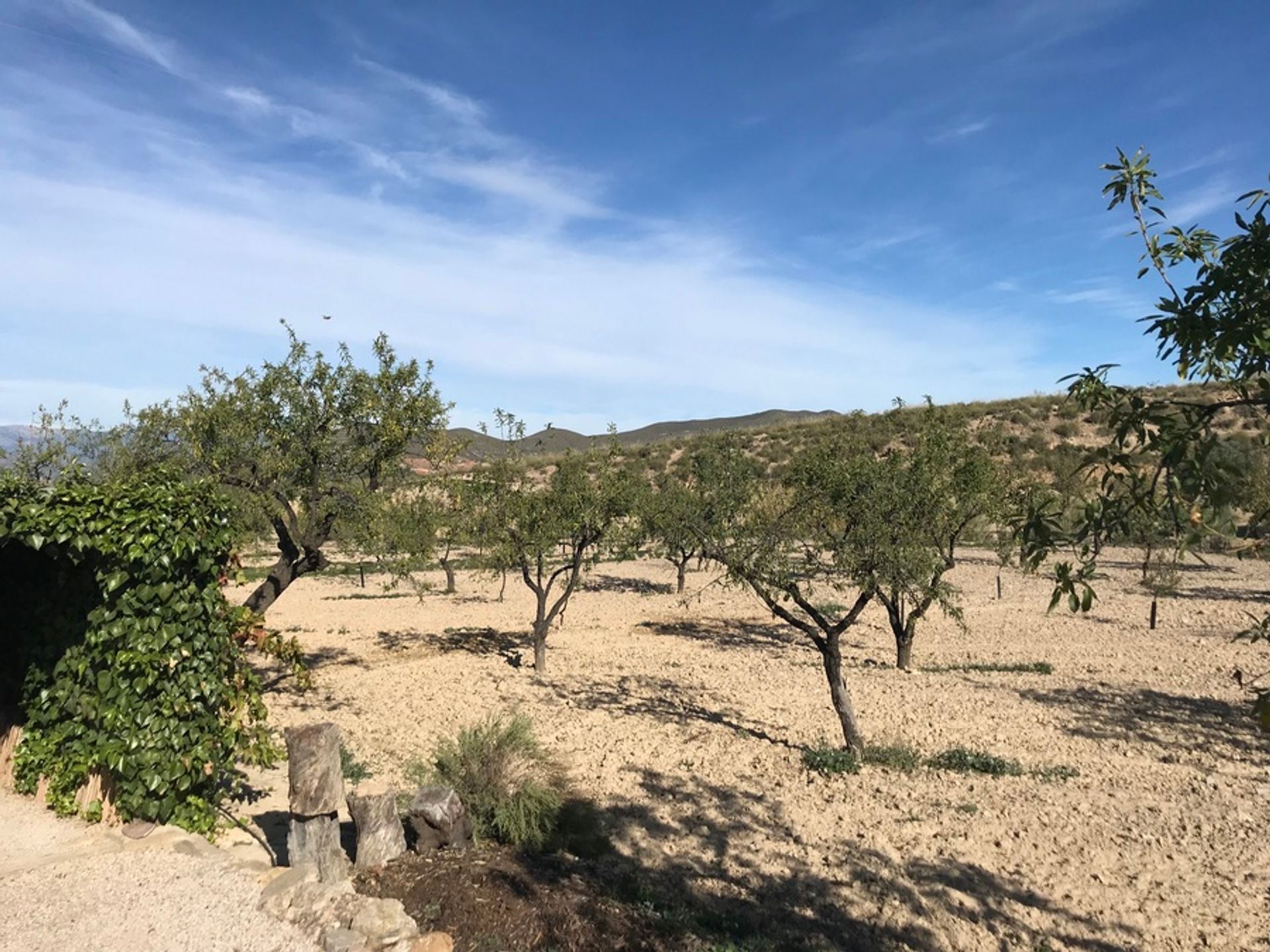 casa no Lorca, Región de Murcia 10731447