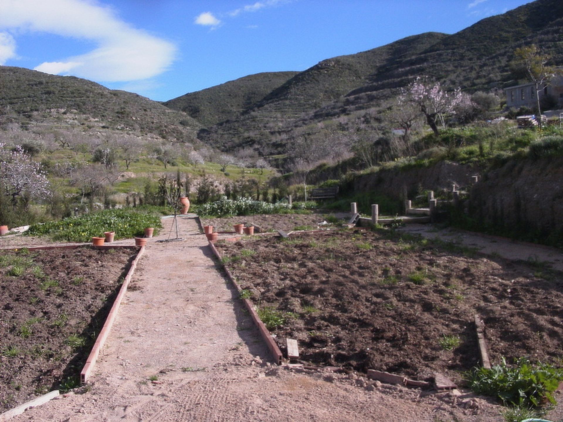 Terre dans , Región de Murcia 10731452