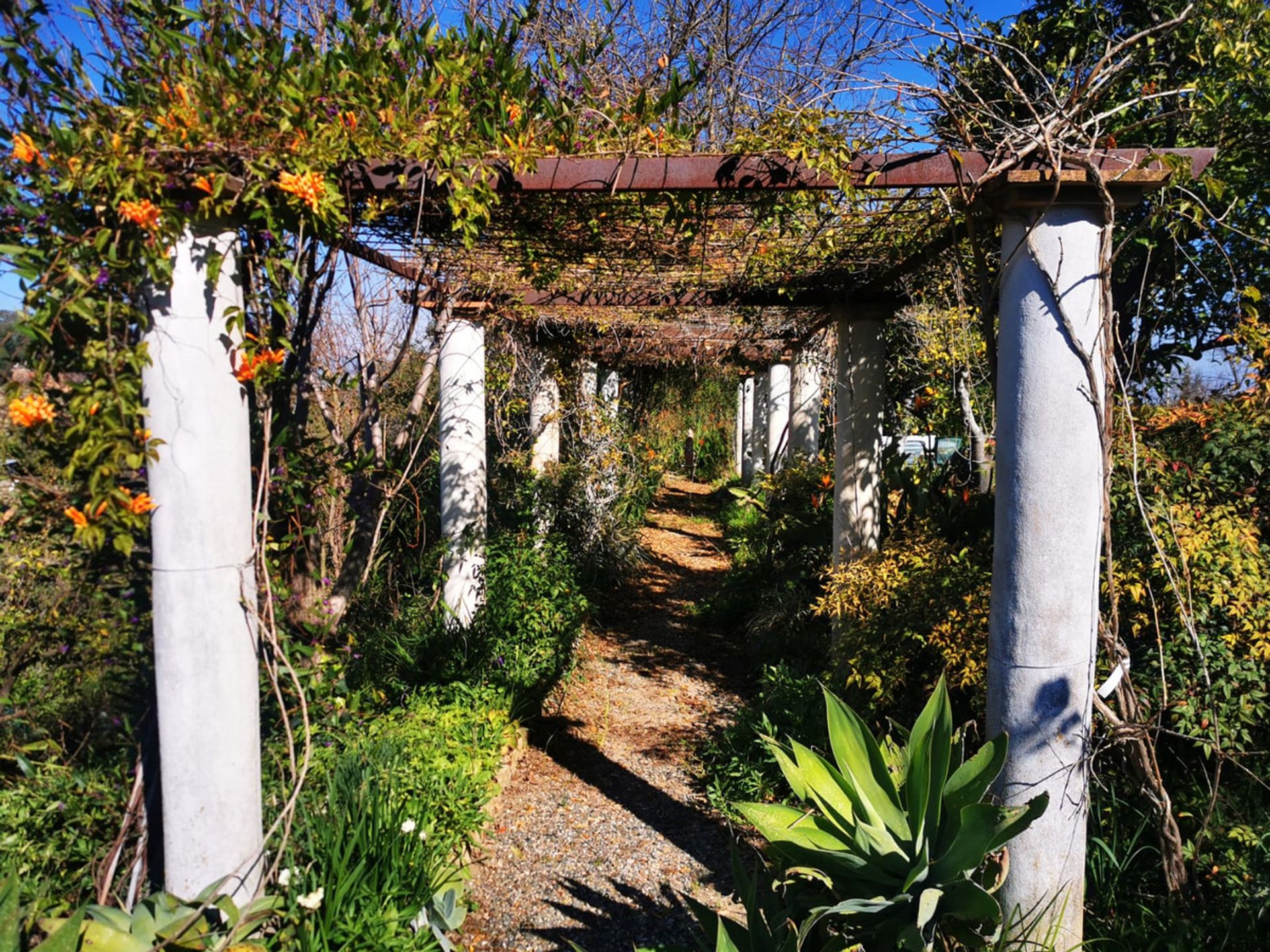 rumah dalam Alhaurín el Grande, Andalucía 10731544