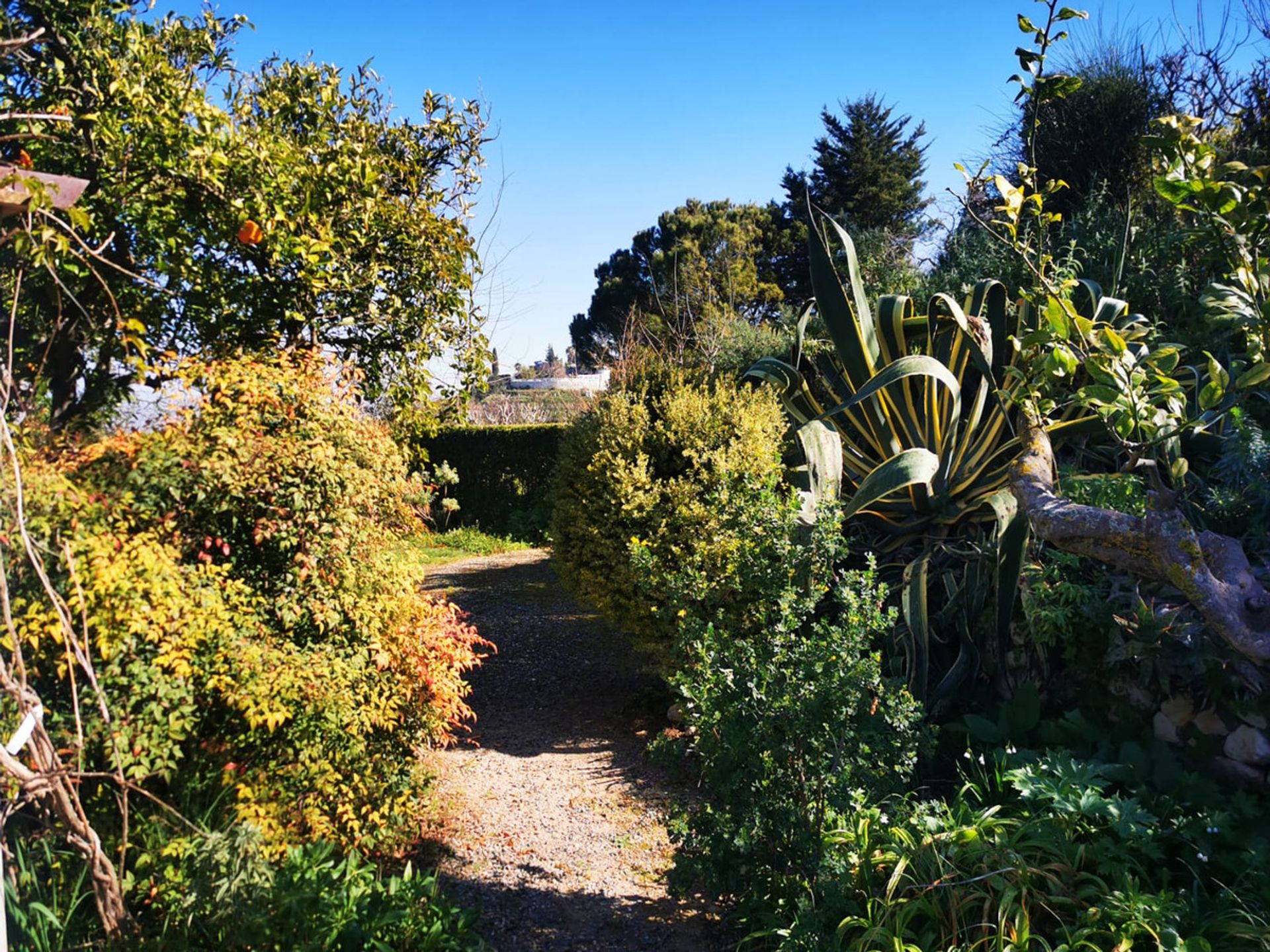 rumah dalam Alhaurín el Grande, Andalucía 10731544