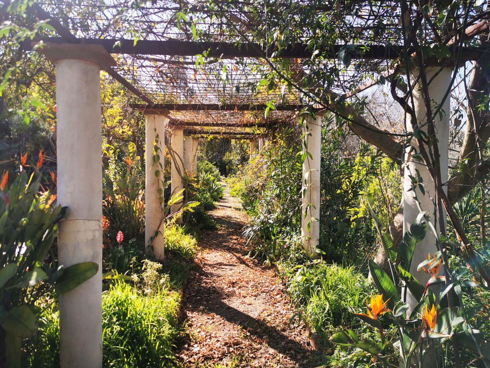 rumah dalam Alhaurín el Grande, Andalucía 10731544