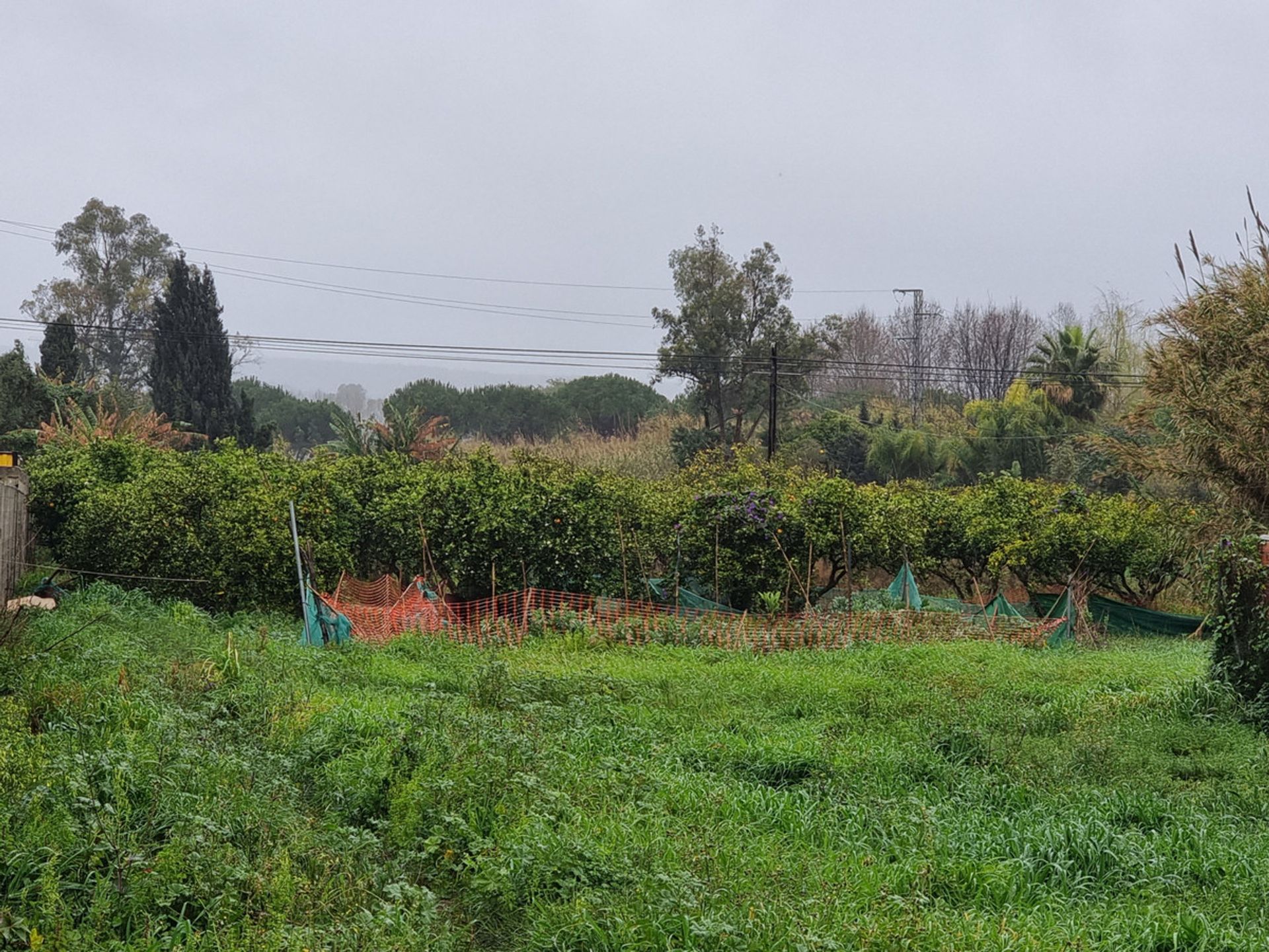 Tanah di Guadiaro, Andalusia 10731733