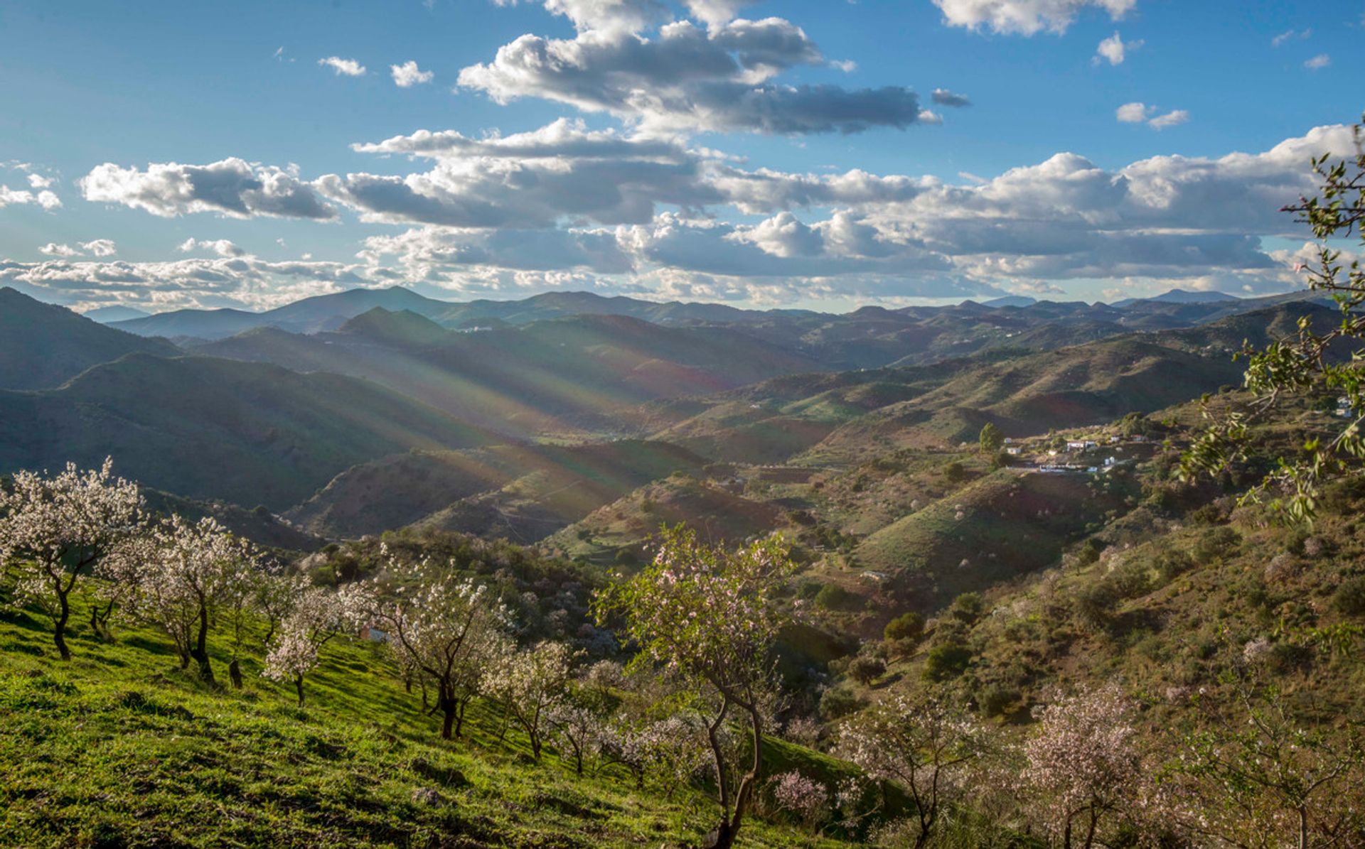 תַעֲשִׂיָתִי ב Almogía, Andalucía 10731760