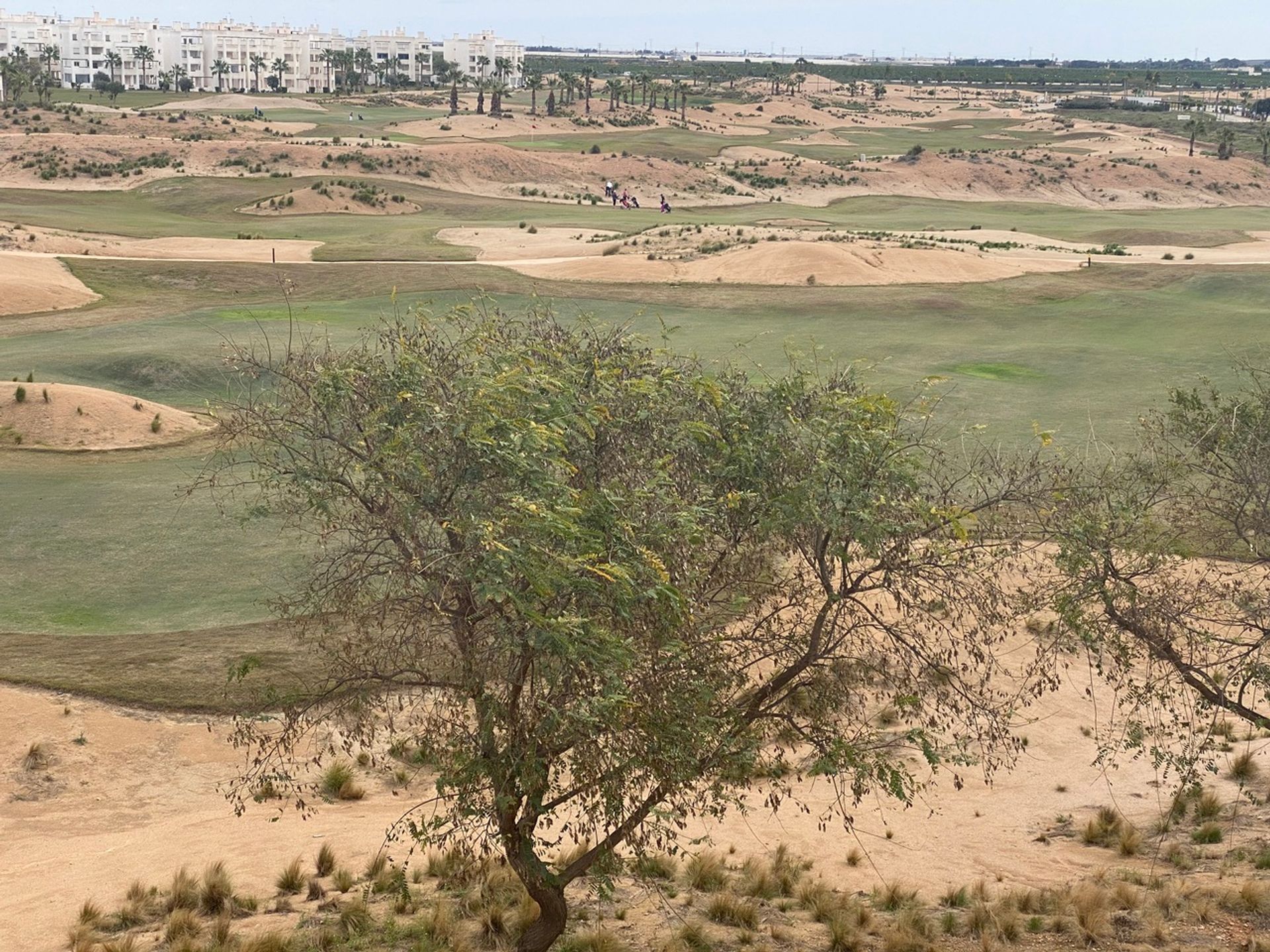 Condominio nel Balsicas, Región de Murcia 10731971