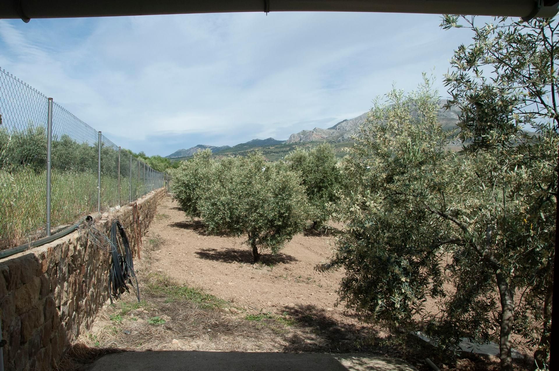 House in , Andalucía 10731973