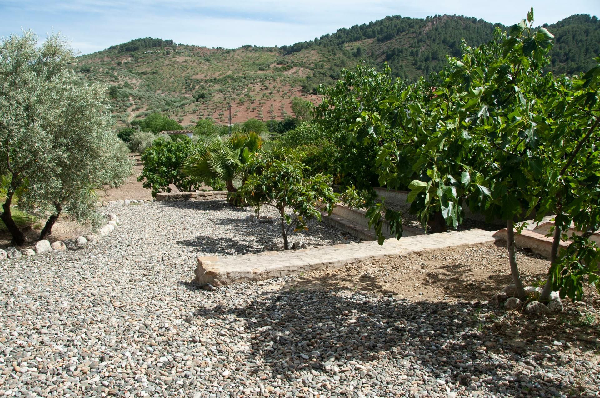 House in , Andalucía 10731973