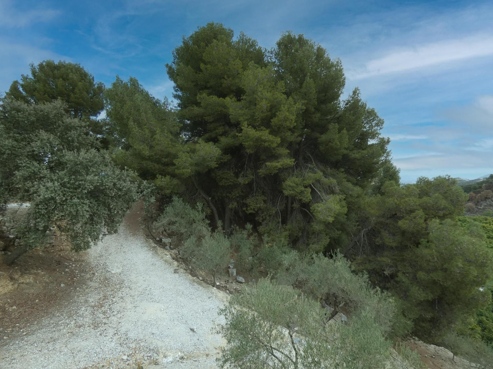 Casa nel Coín, Andalucía 10732170