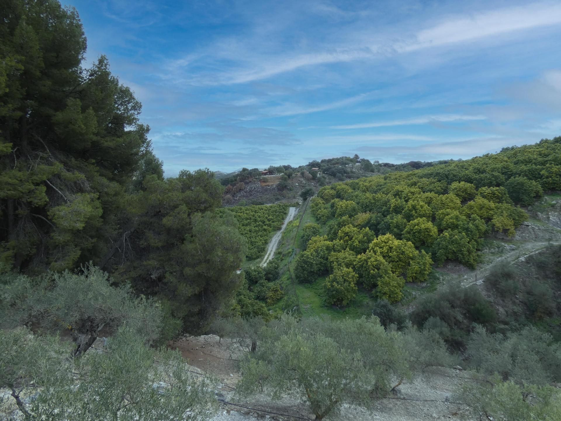 Casa nel Coín, Andalucía 10732170