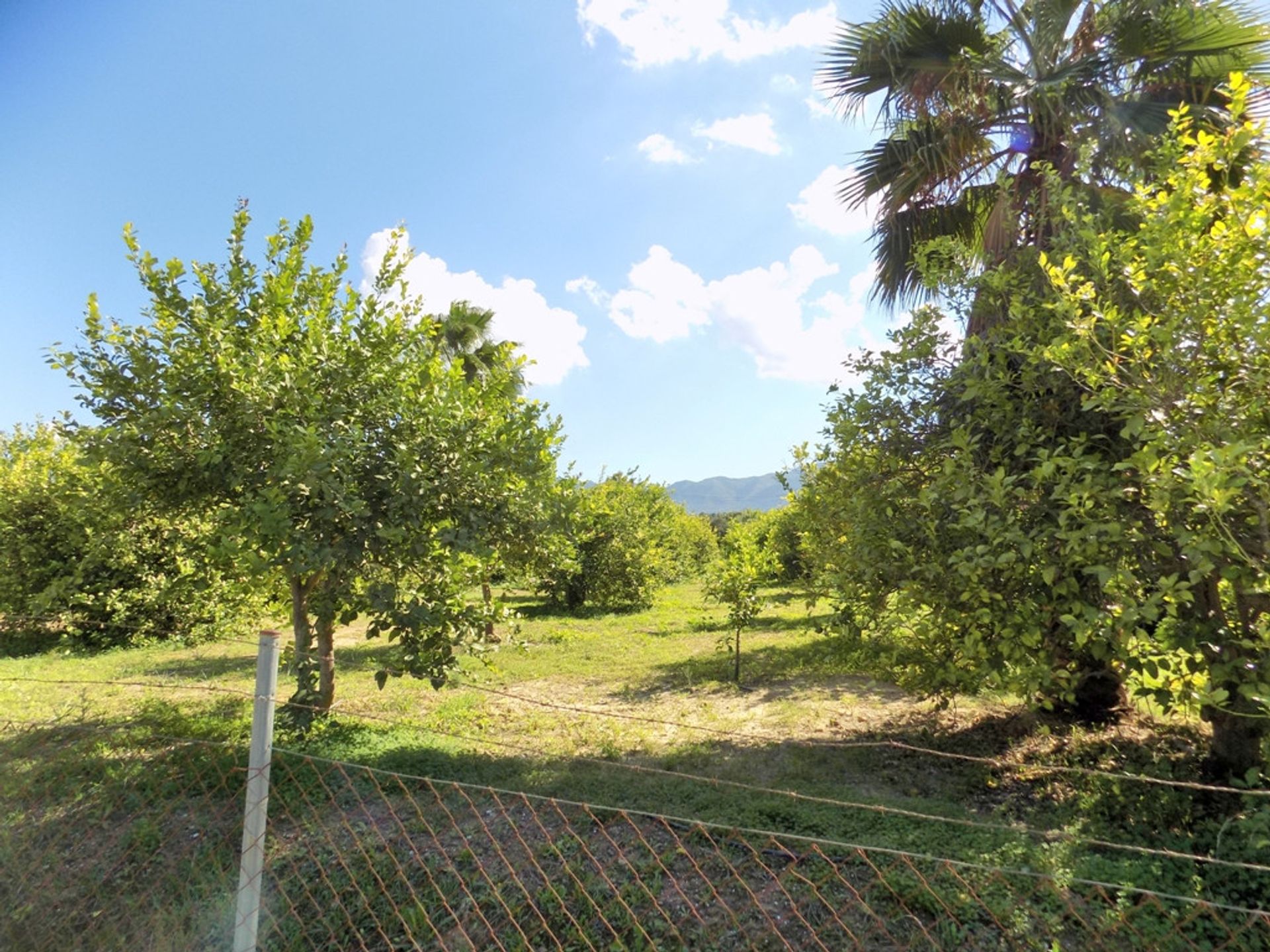 casa no Cártama, Andalucía 10732280