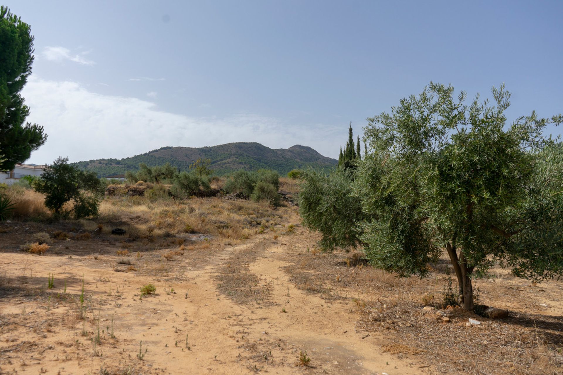 土地 在 Alhaurín de la Torre, Andalucía 10732451