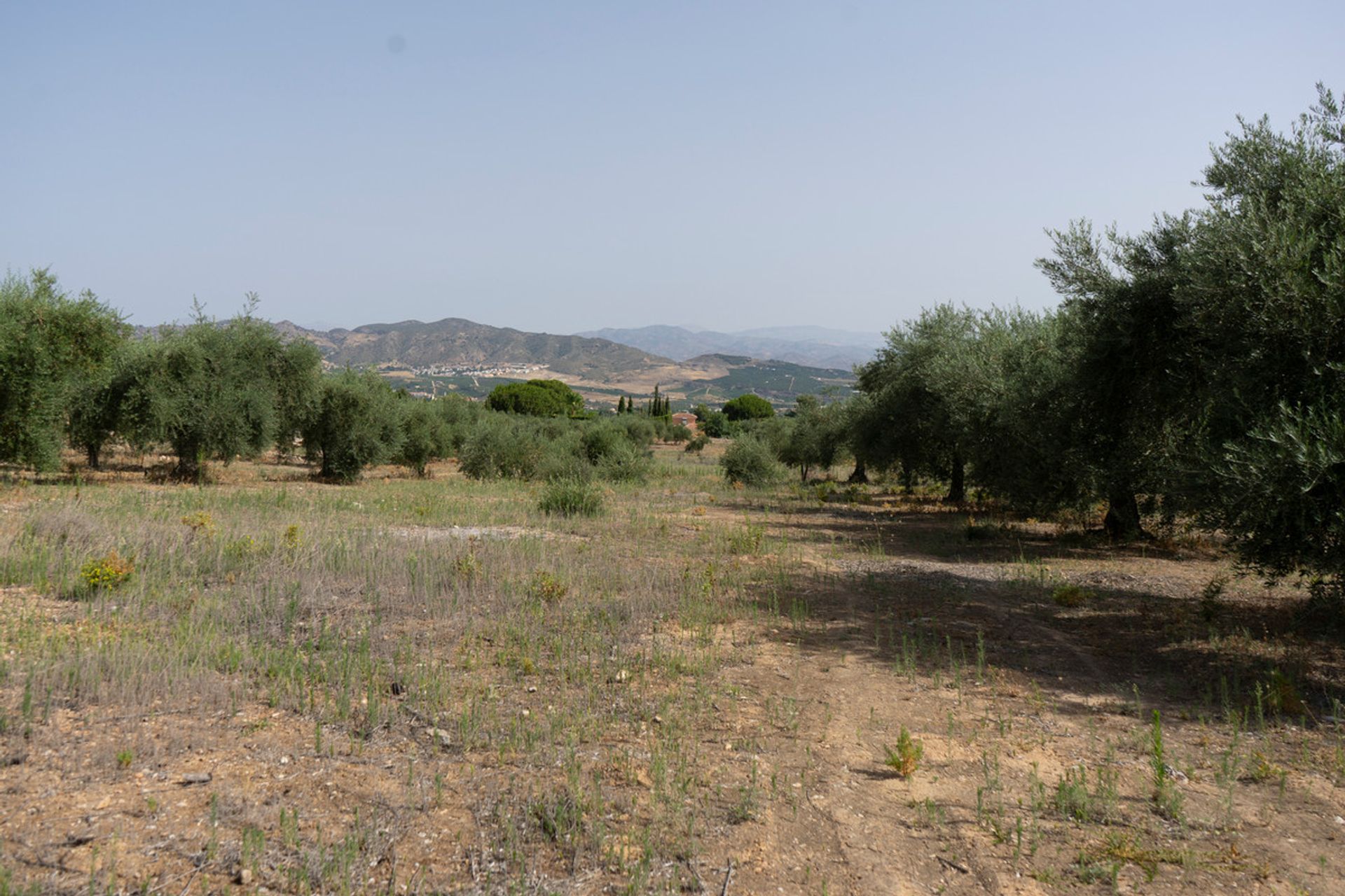 Maa sisään Alhaurín de la Torre, Andalucía 10732451