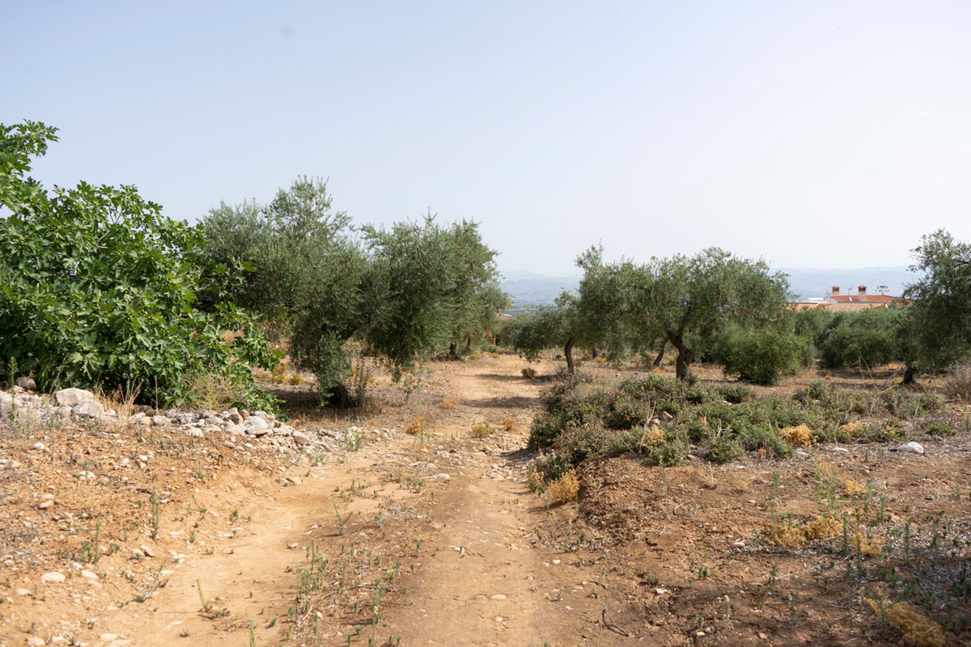 Tanah dalam Alhaurín de la Torre, Andalucía 10732451