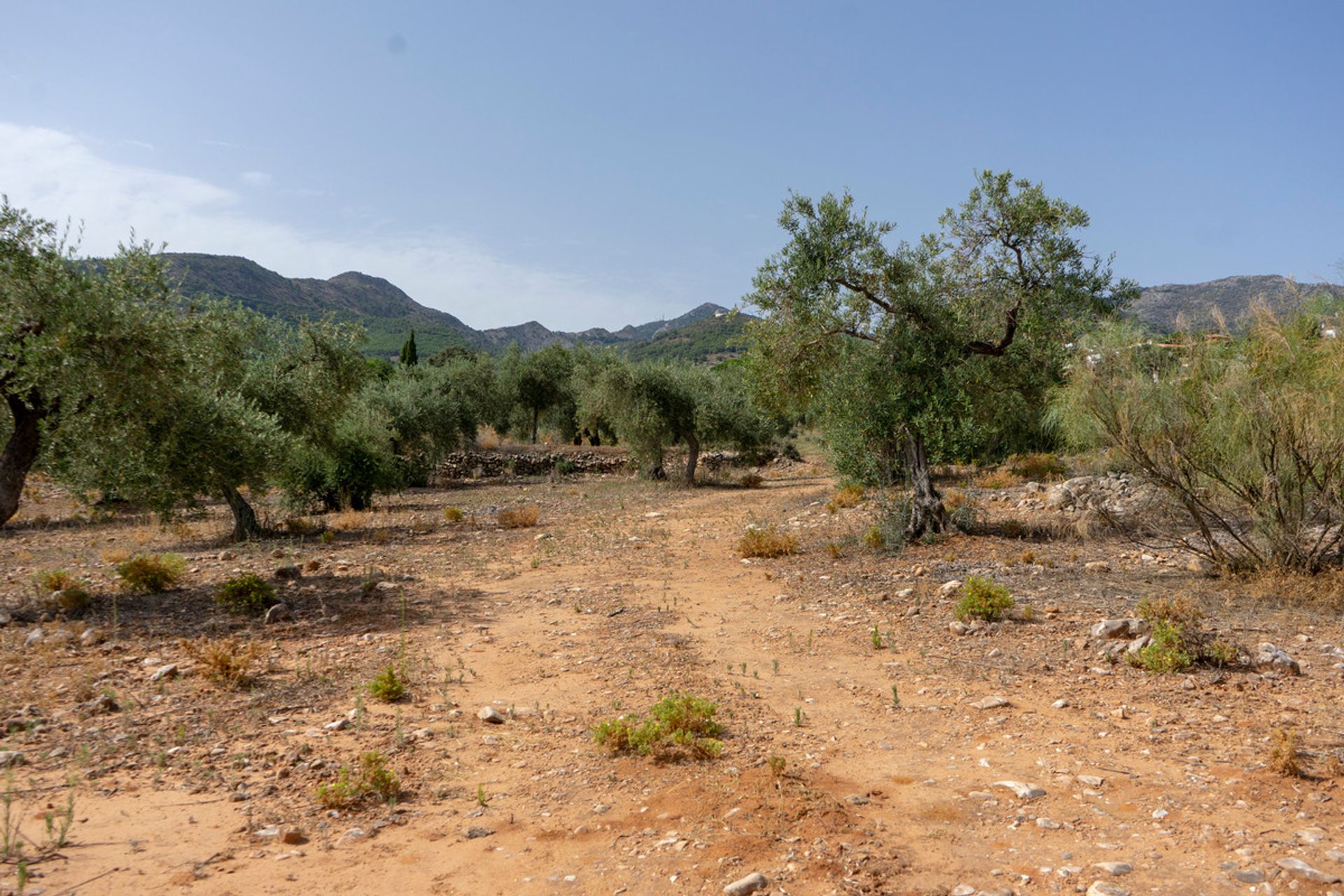 Tanah di Alhaurin de la Torre, Andalusia 10732451