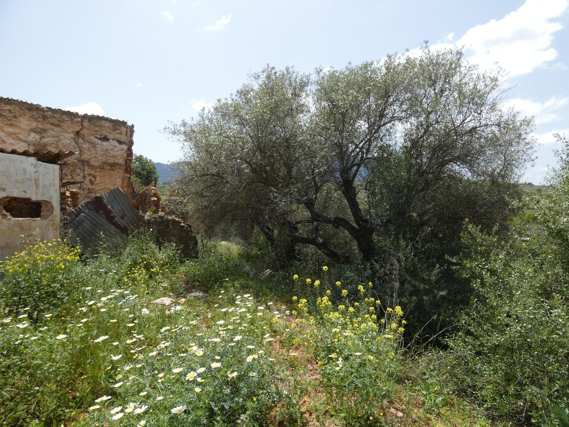 жилой дом в Alhaurín el Grande, Andalucía 10732636