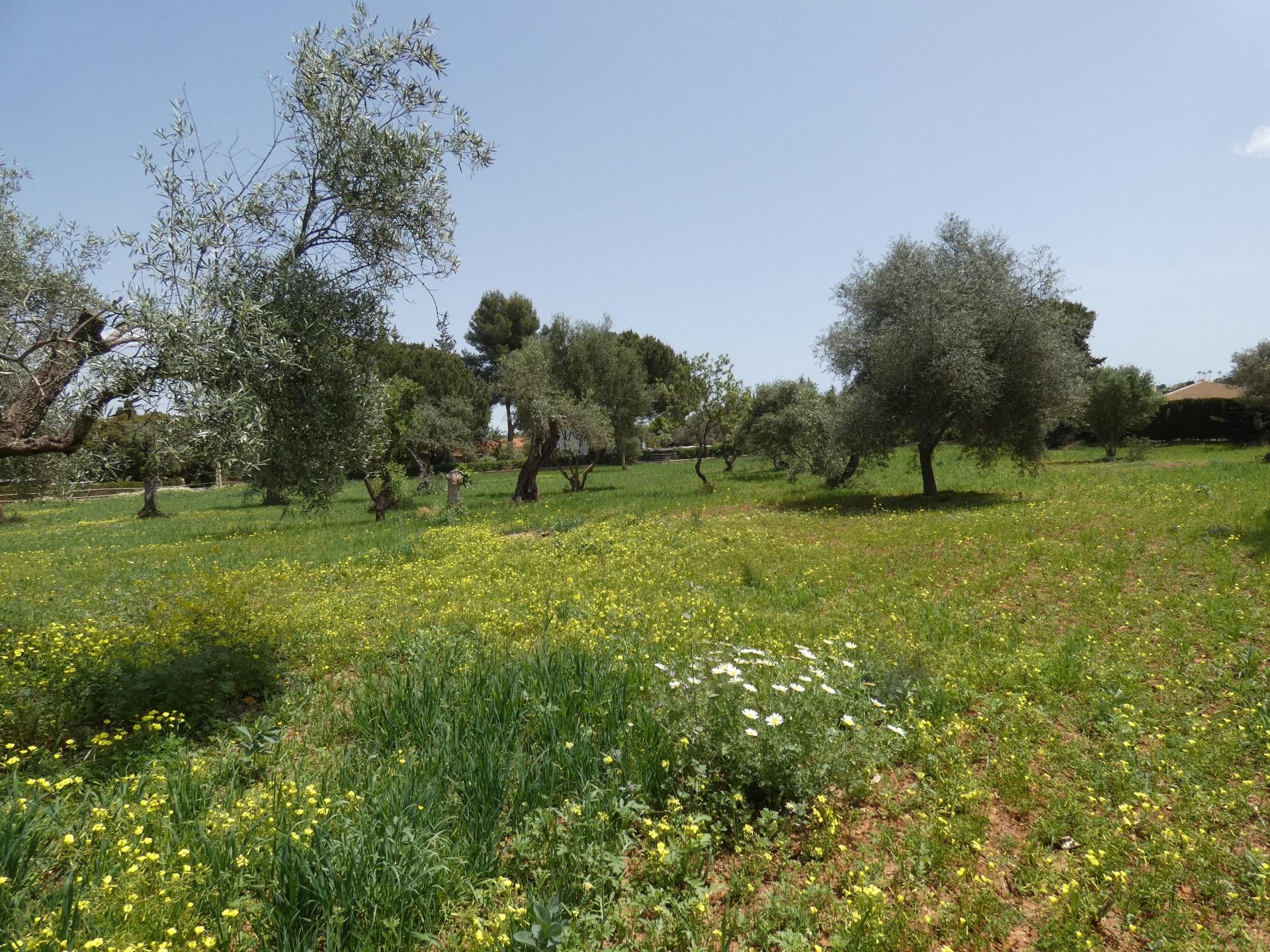 жилой дом в Alhaurín el Grande, Andalucía 10732636