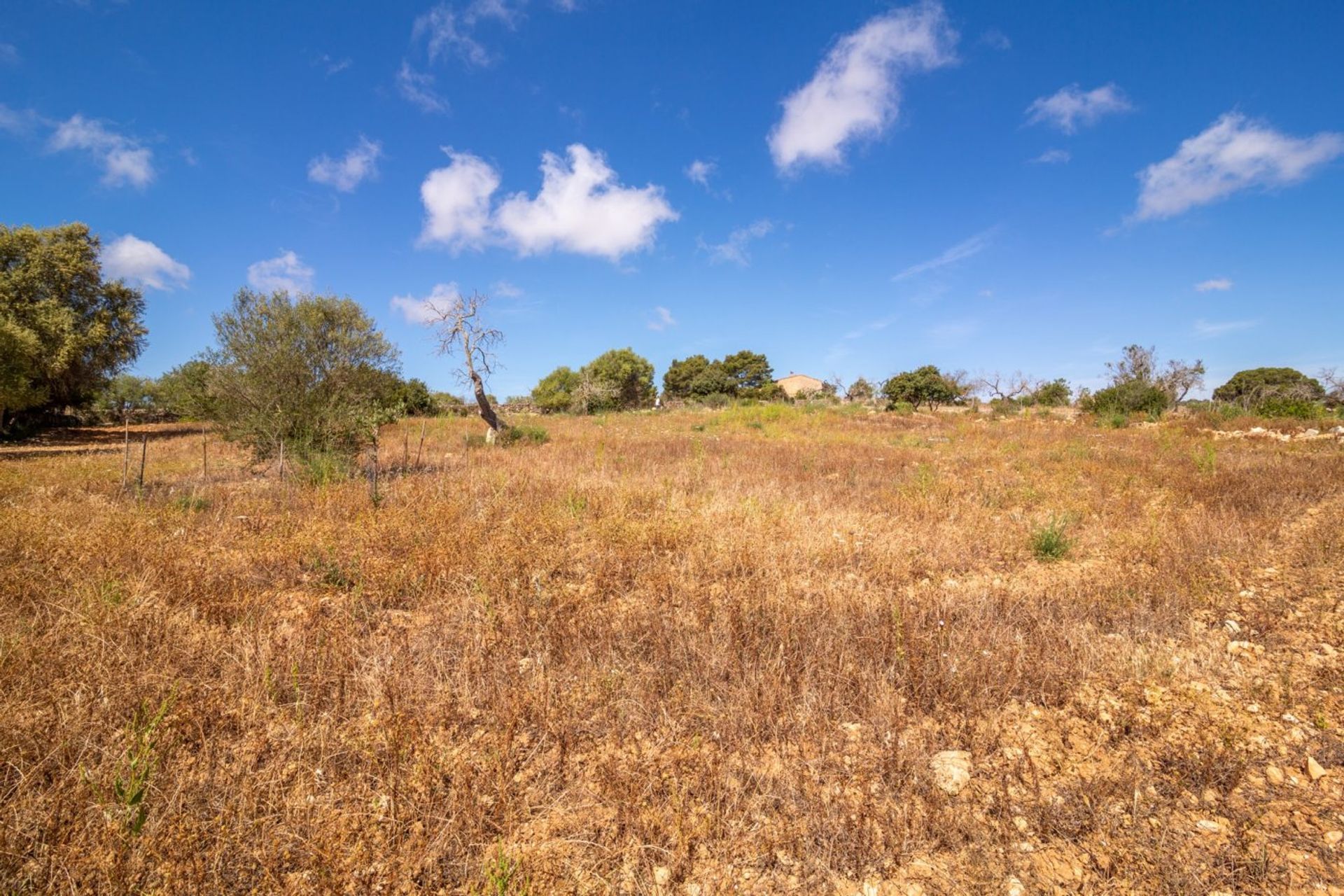 Talo sisään , Illes Balears 10732660