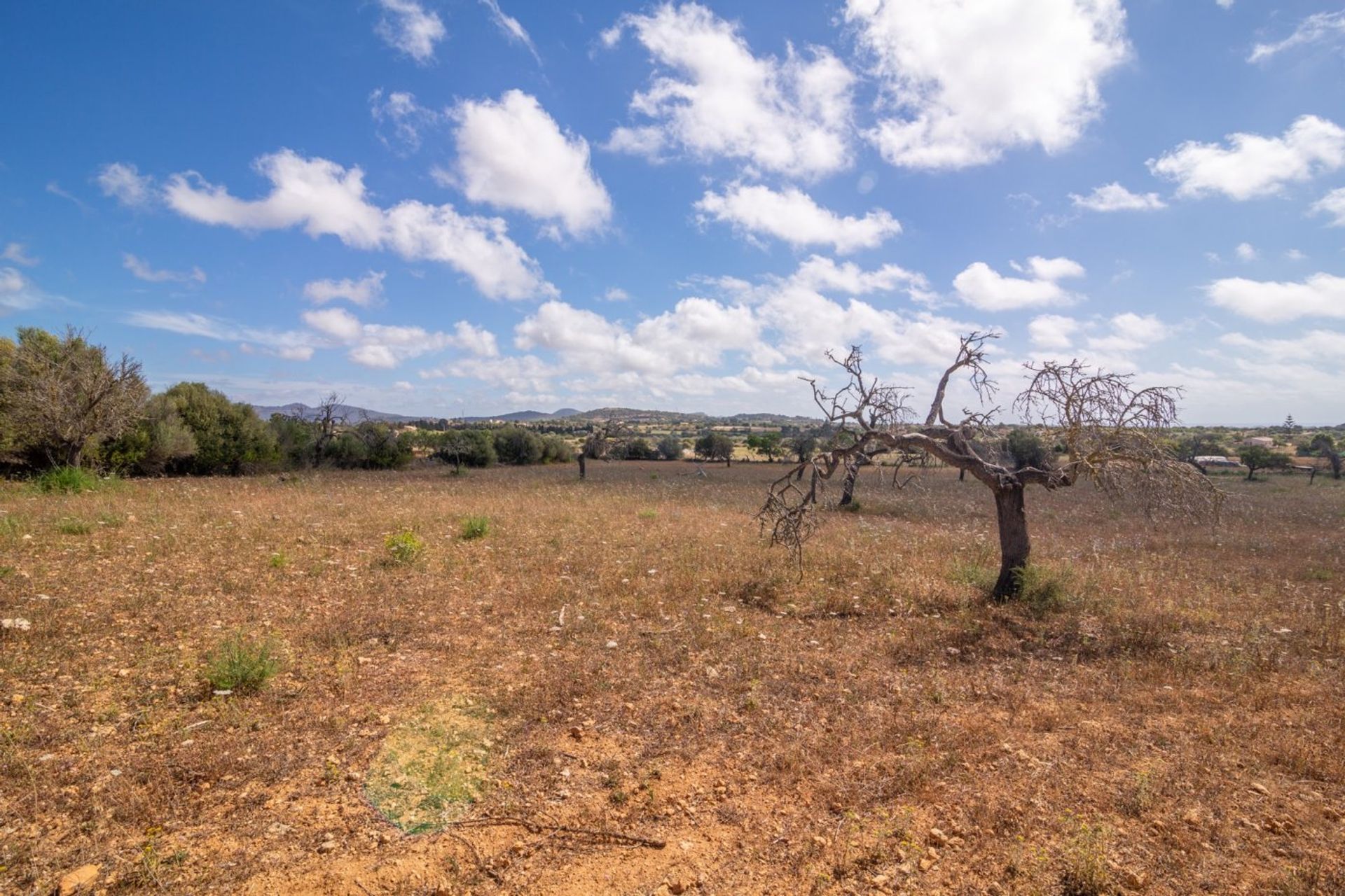 Talo sisään , Illes Balears 10732660