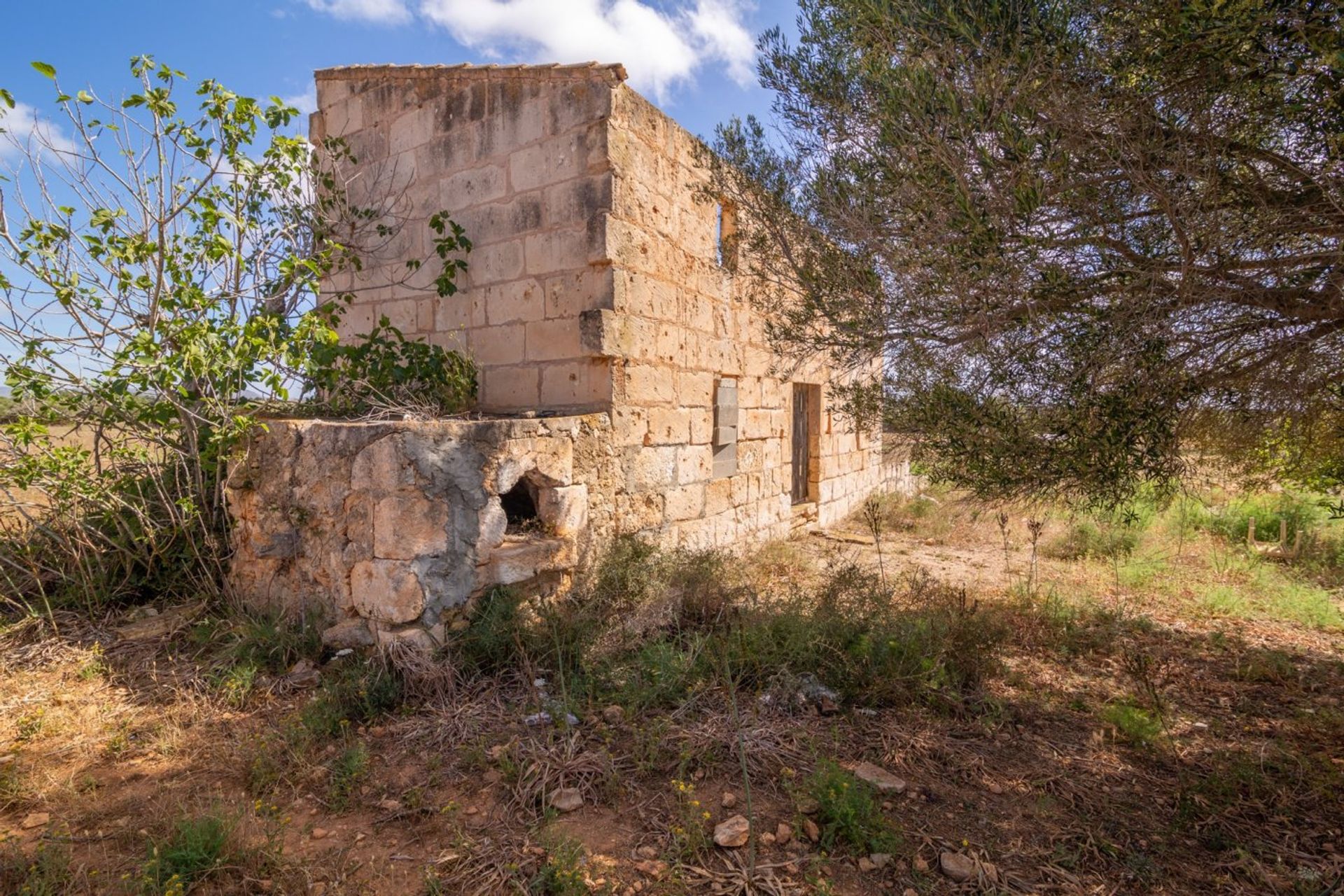 Talo sisään , Illes Balears 10732660