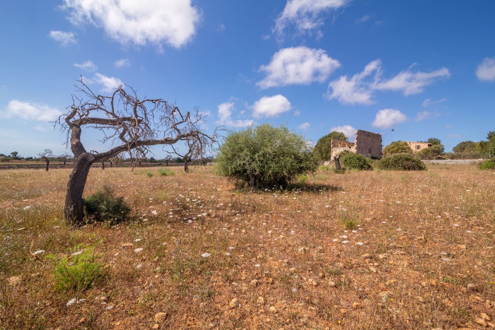 Talo sisään , Illes Balears 10732660