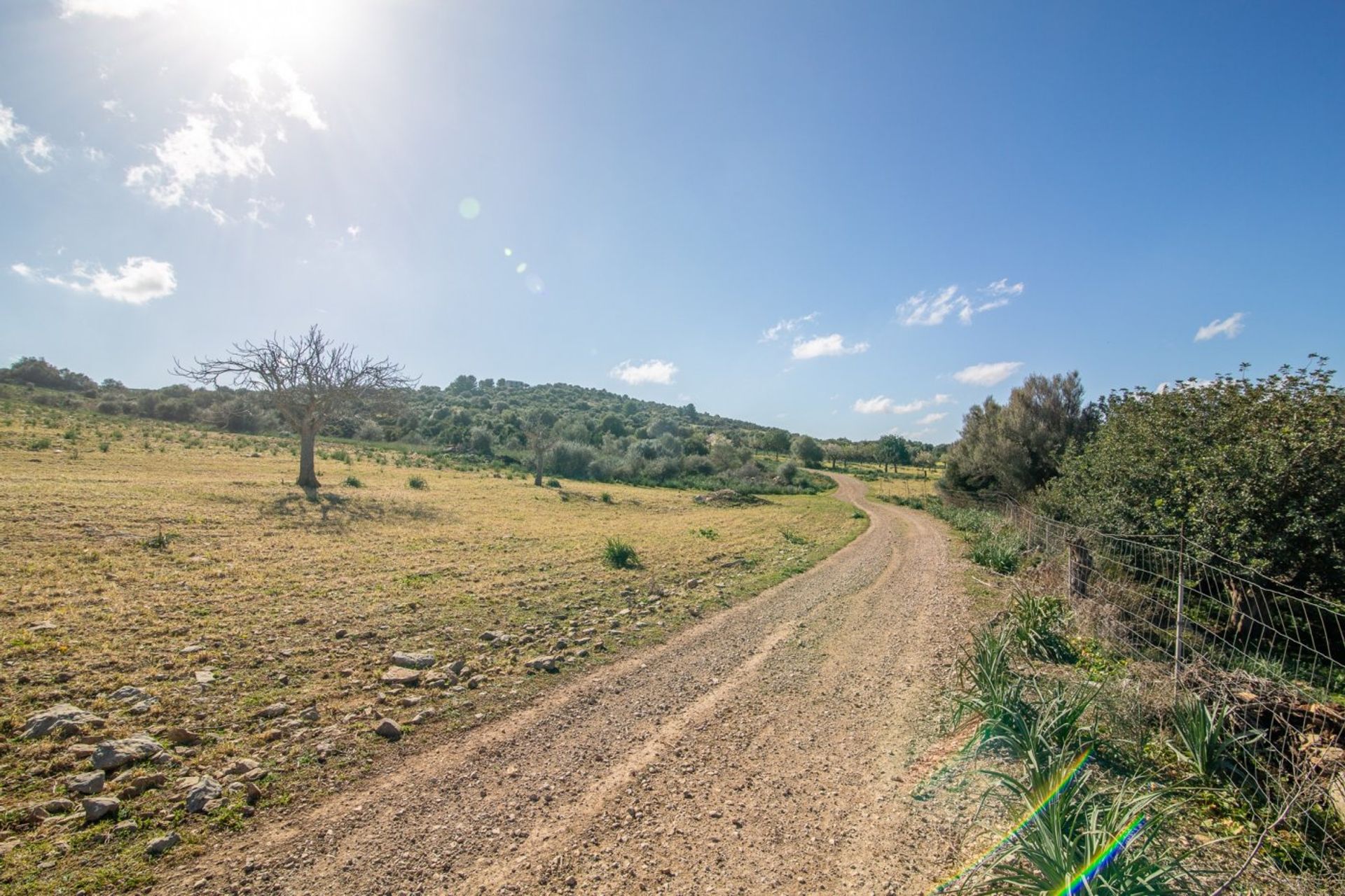 בַּיִת ב אריאני, האיים הבלאריים 10732860