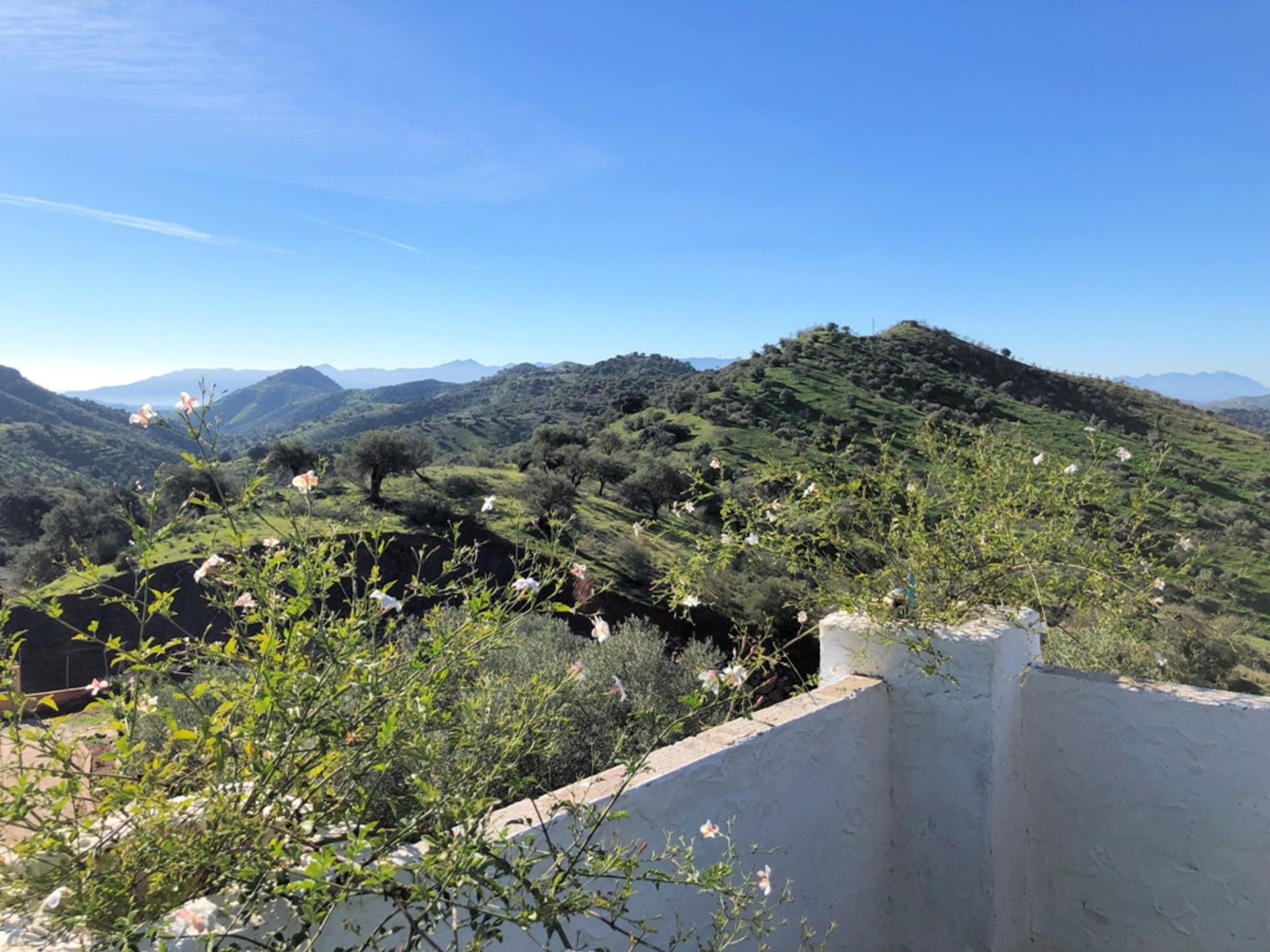 loger dans Almogía, Andalucía 10732936