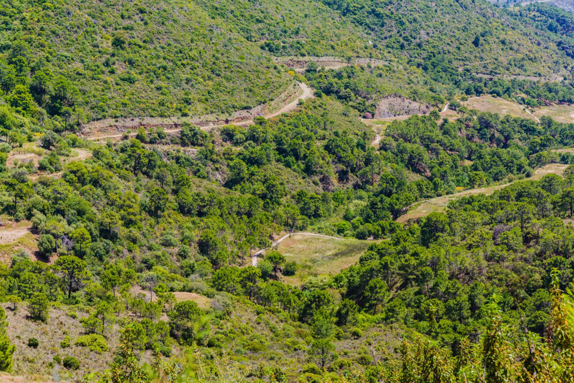 Tanah dalam Benahavís, Andalucía 10733235