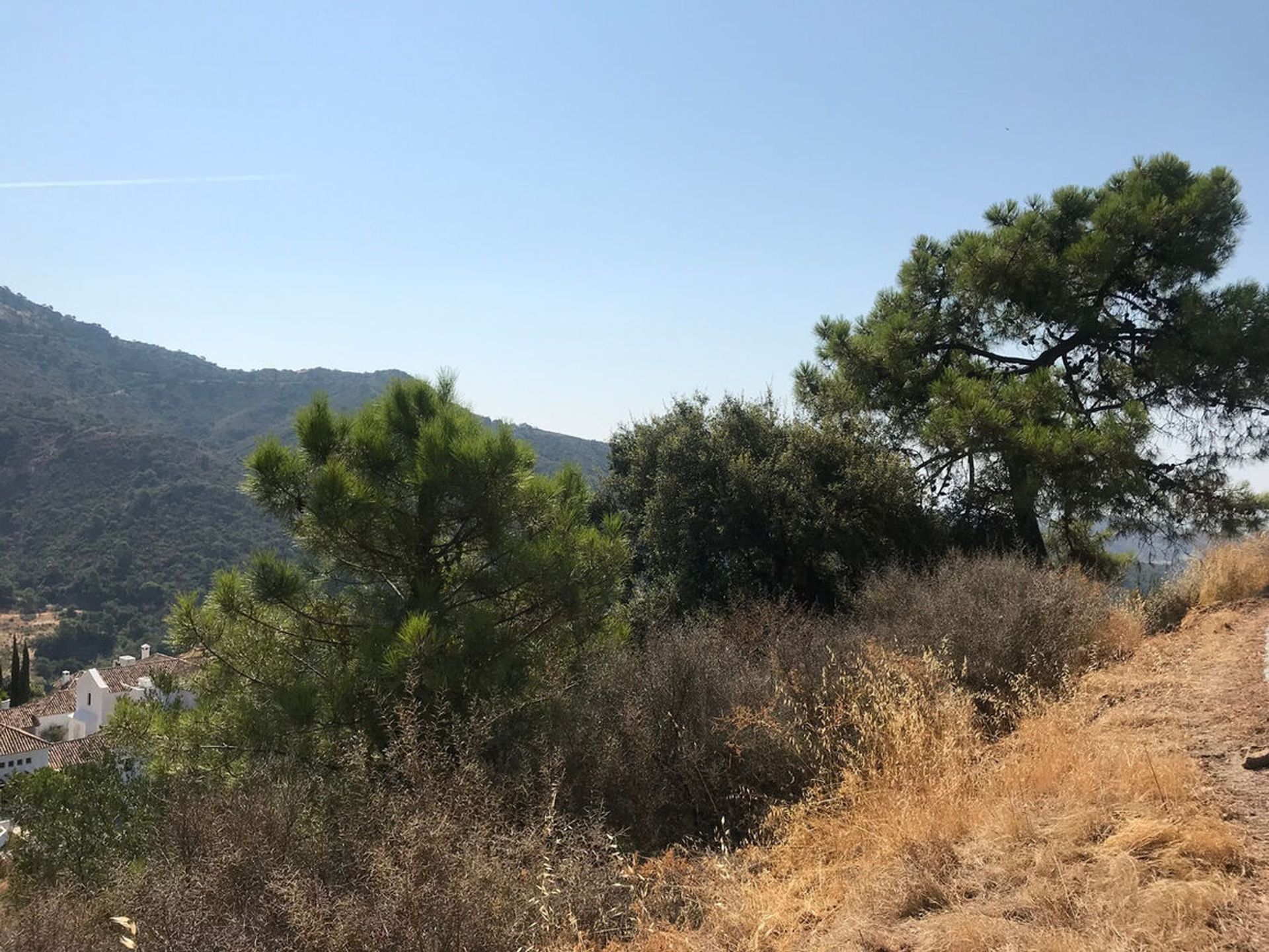 Terre dans Benahavís, Andalousie 10733235