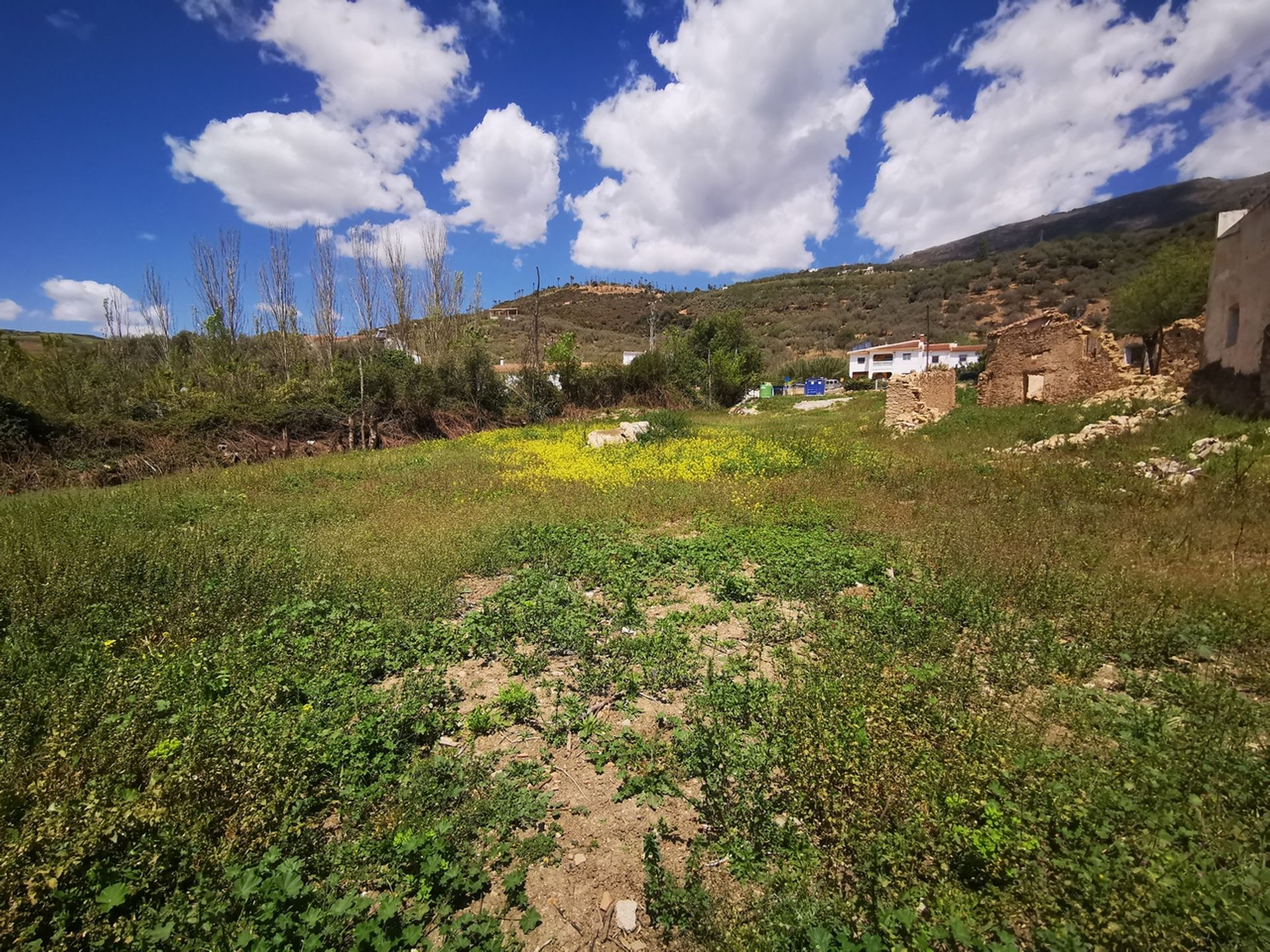 Tierra en Periana, Andalucía 10733342