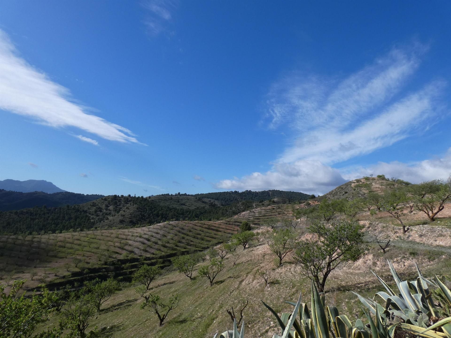 loger dans Ardales, Andalucía 10733353