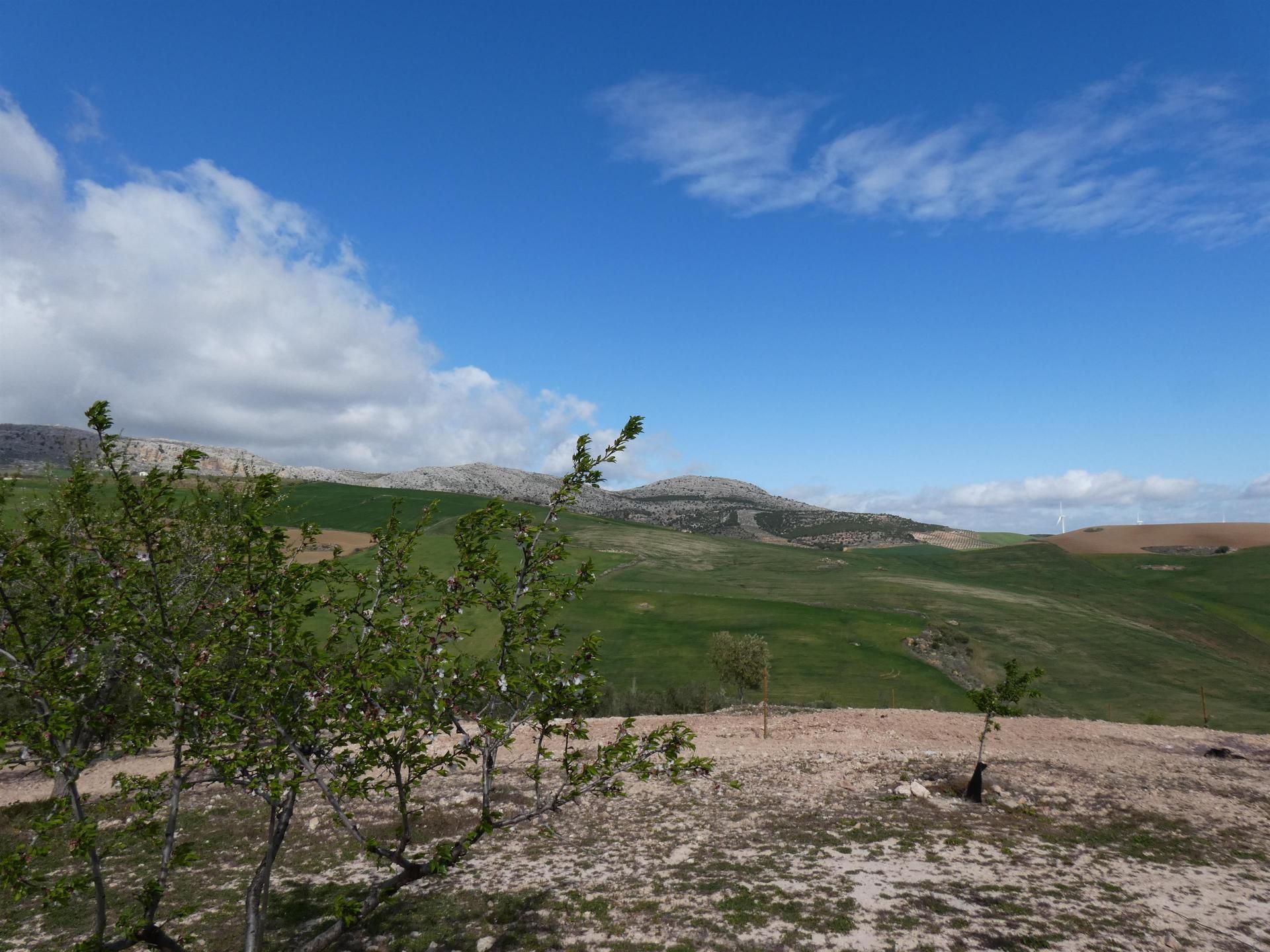 loger dans Ardales, Andalucía 10733353