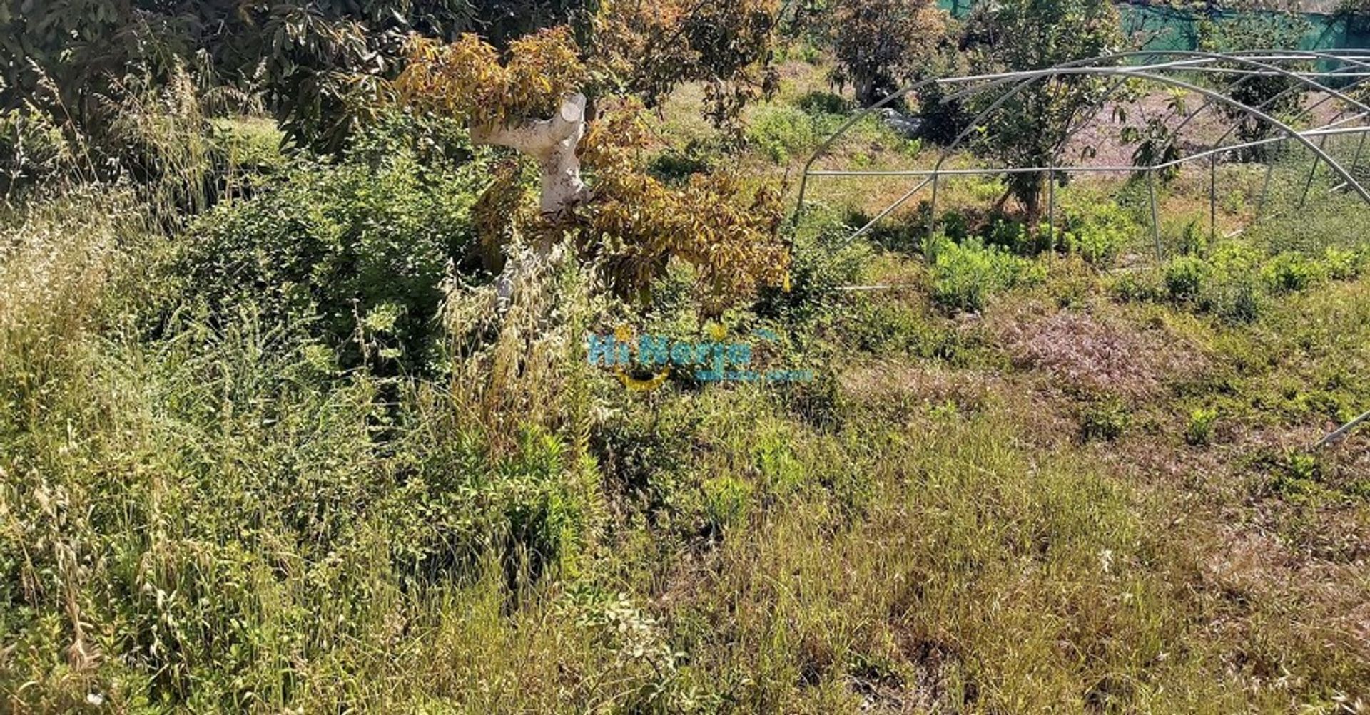 Terra no Frigiliana, Andalucía 10733376