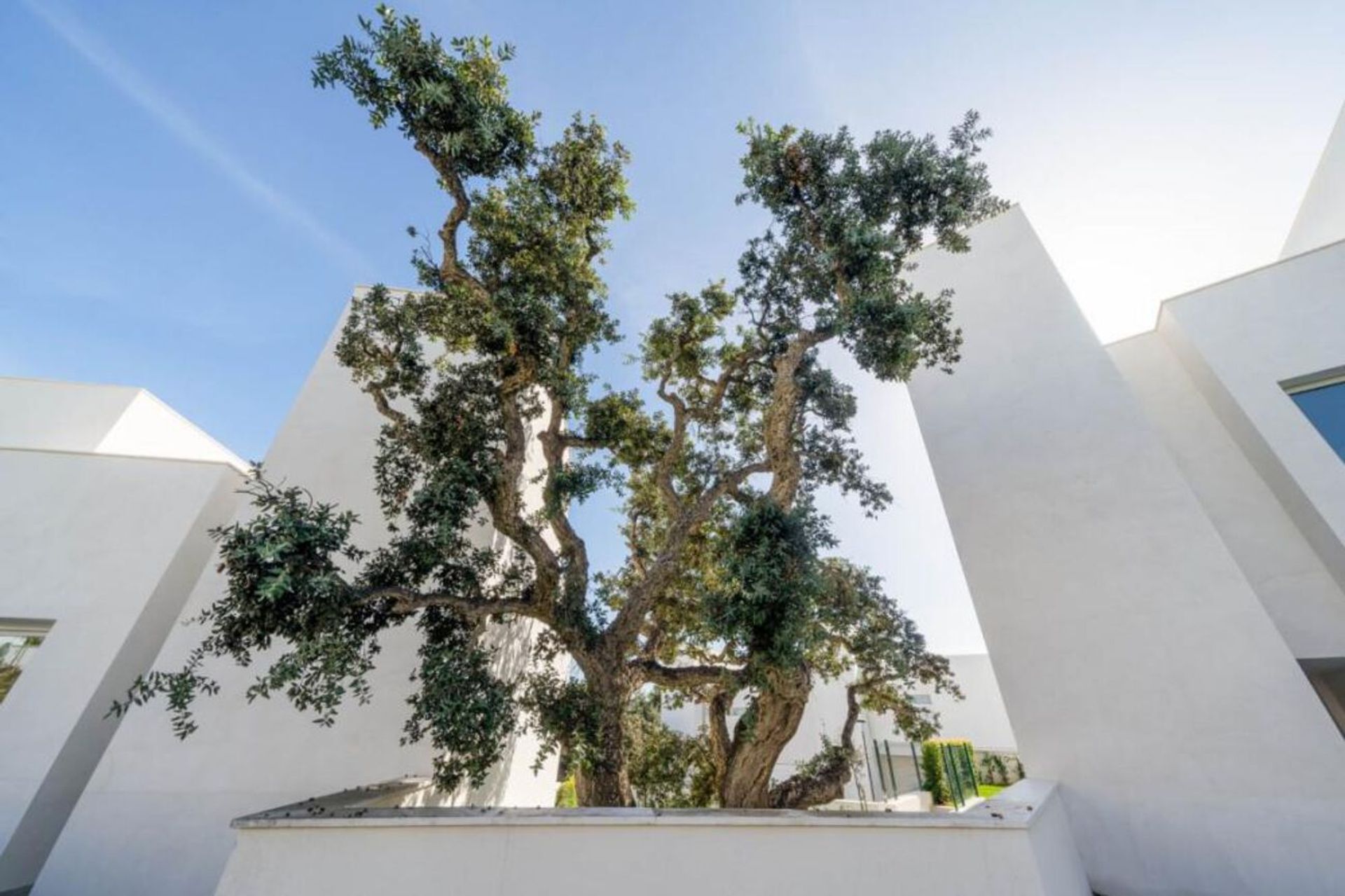 Casa nel Sotogrande, Andalusia 10735417